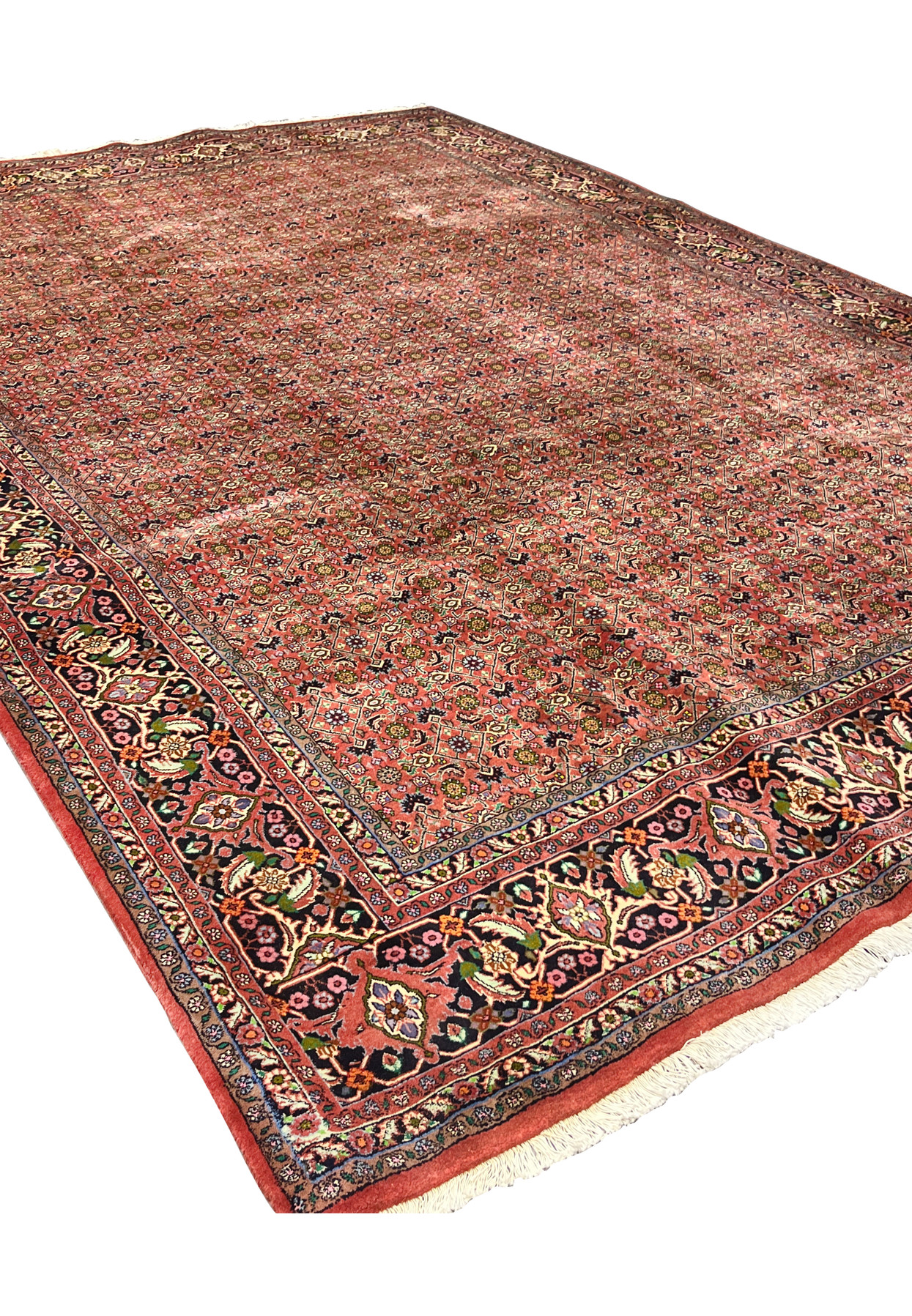 Angled perspective of Persian Bijar rug emphasizing heavy wool pile and firm traditional construction