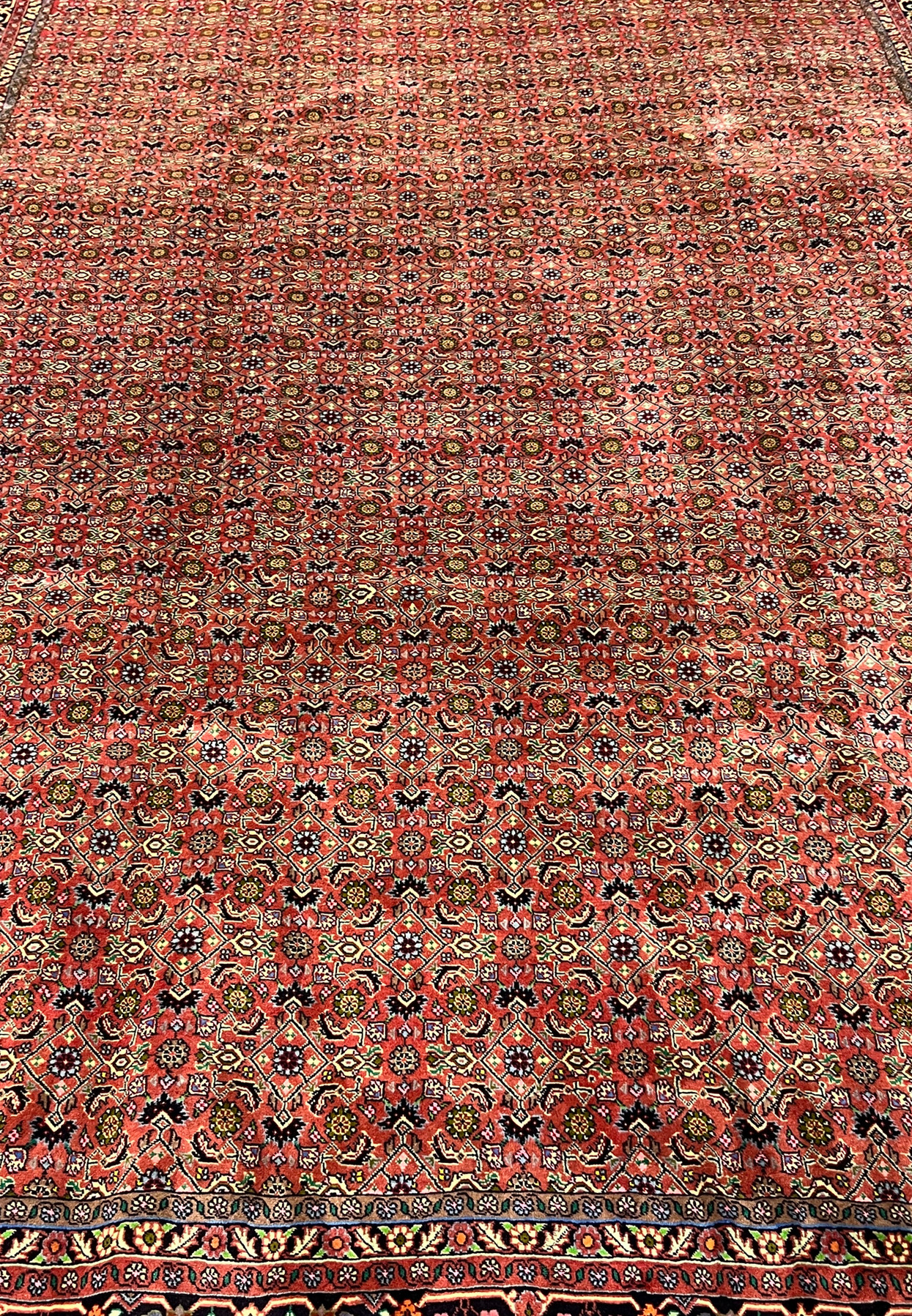 Close-up of Persian Bijar rug midfield highlighting tight wool knots and repeating diamond floral motifs