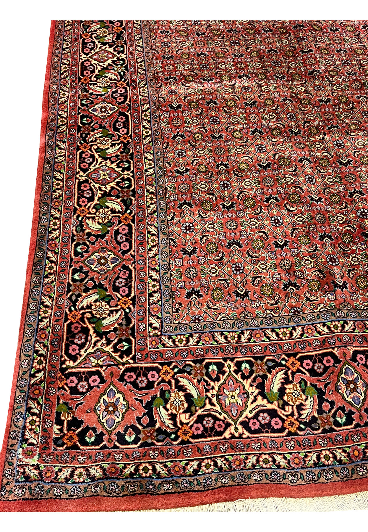 Side border view of Persian Bijar rug showing layered floral guards and strong geometric framing