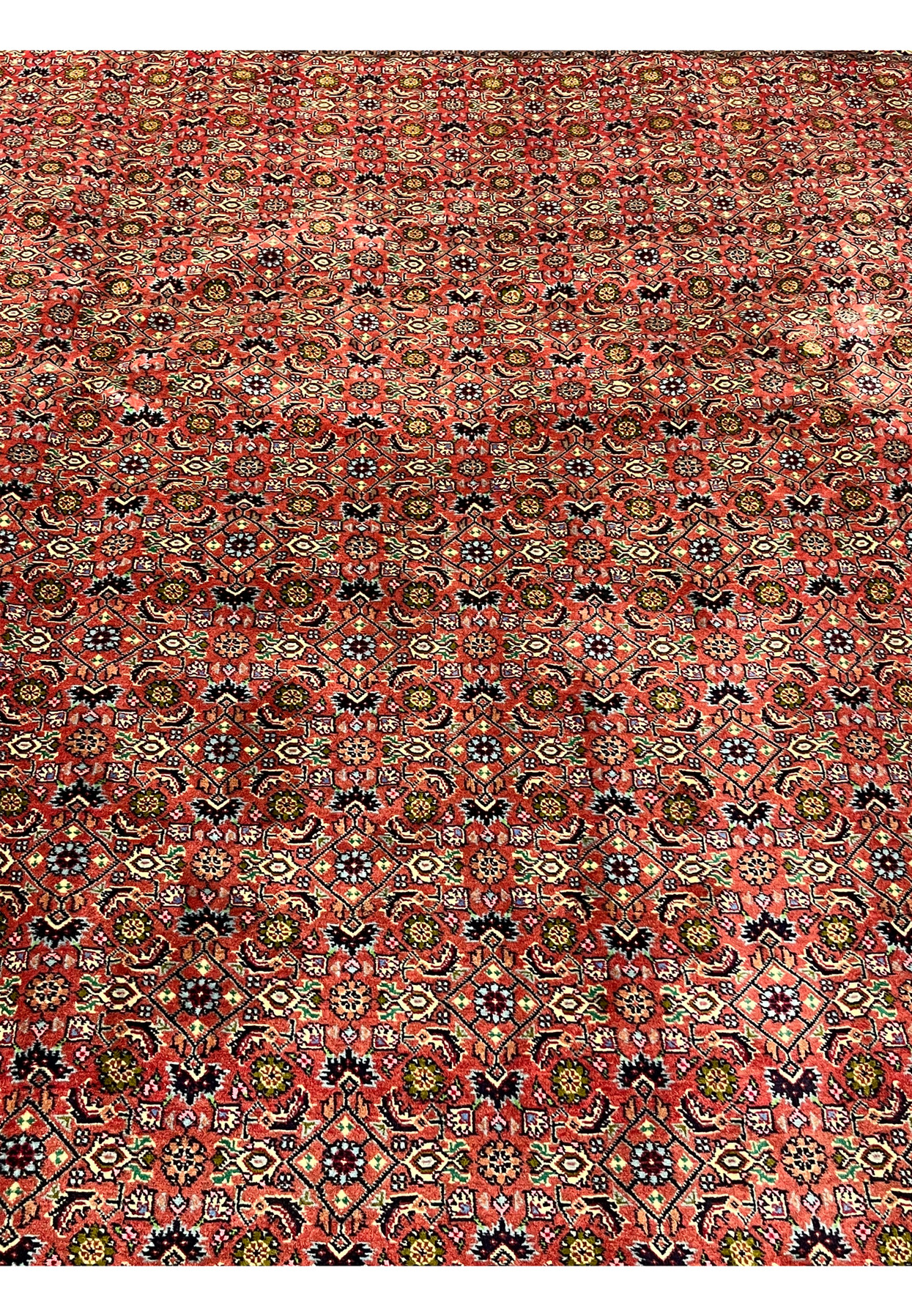 Detailed pattern shot of Persian Bijar rug with repeating all-over floral lattice and balanced symmetry