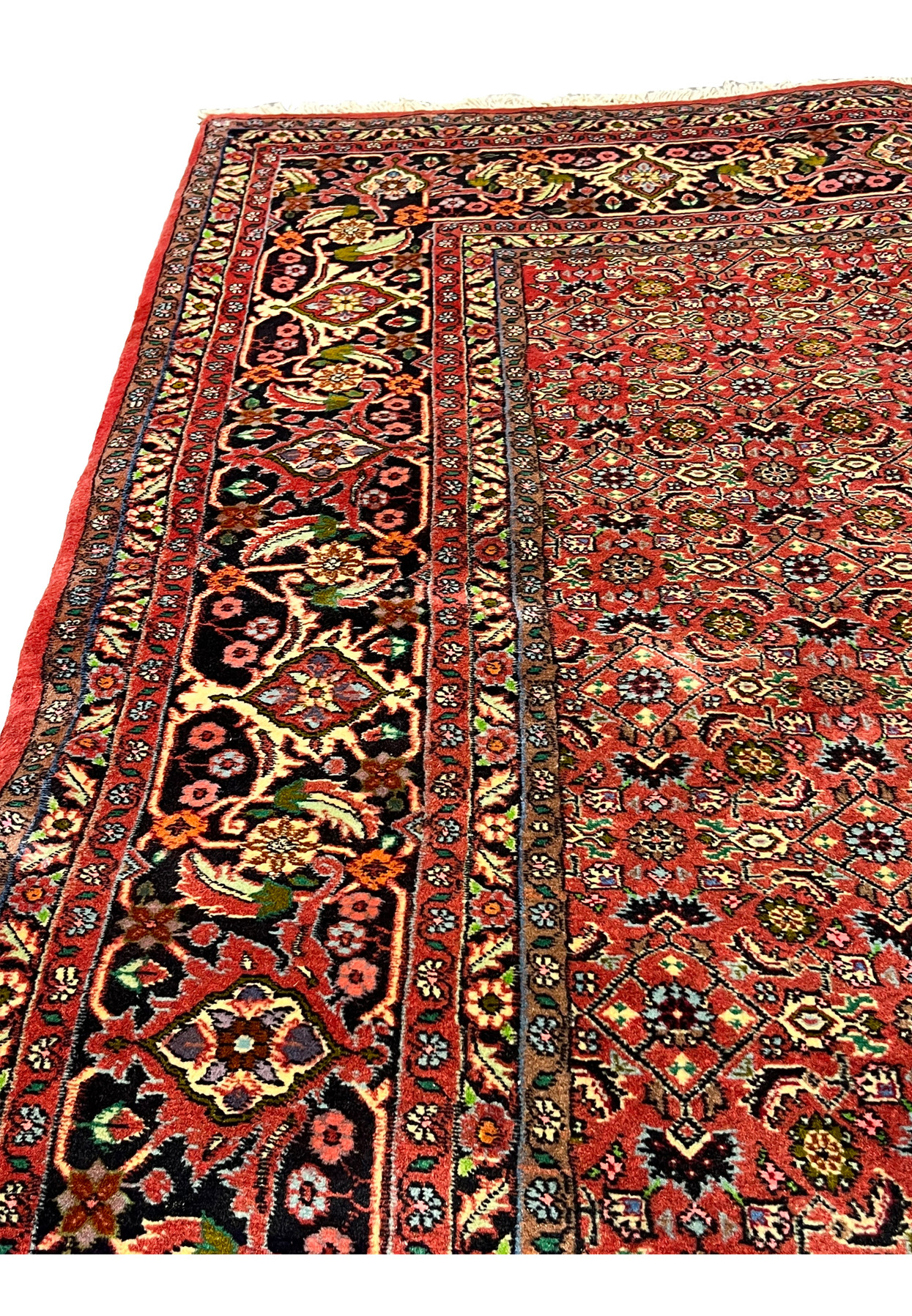 Side view of large Persian Bijar all-over rug laid flat, highlighting floral field pattern and bold contrasting border