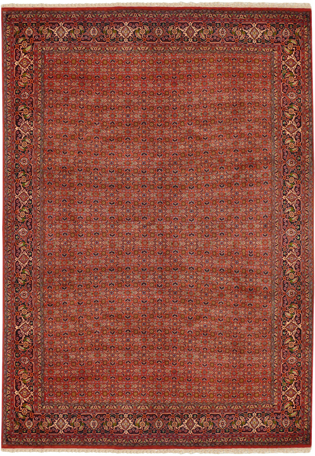 Full view of hand-knotted Persian Bijar rug with brick red field, repeating floral lattice, and detailed navy border