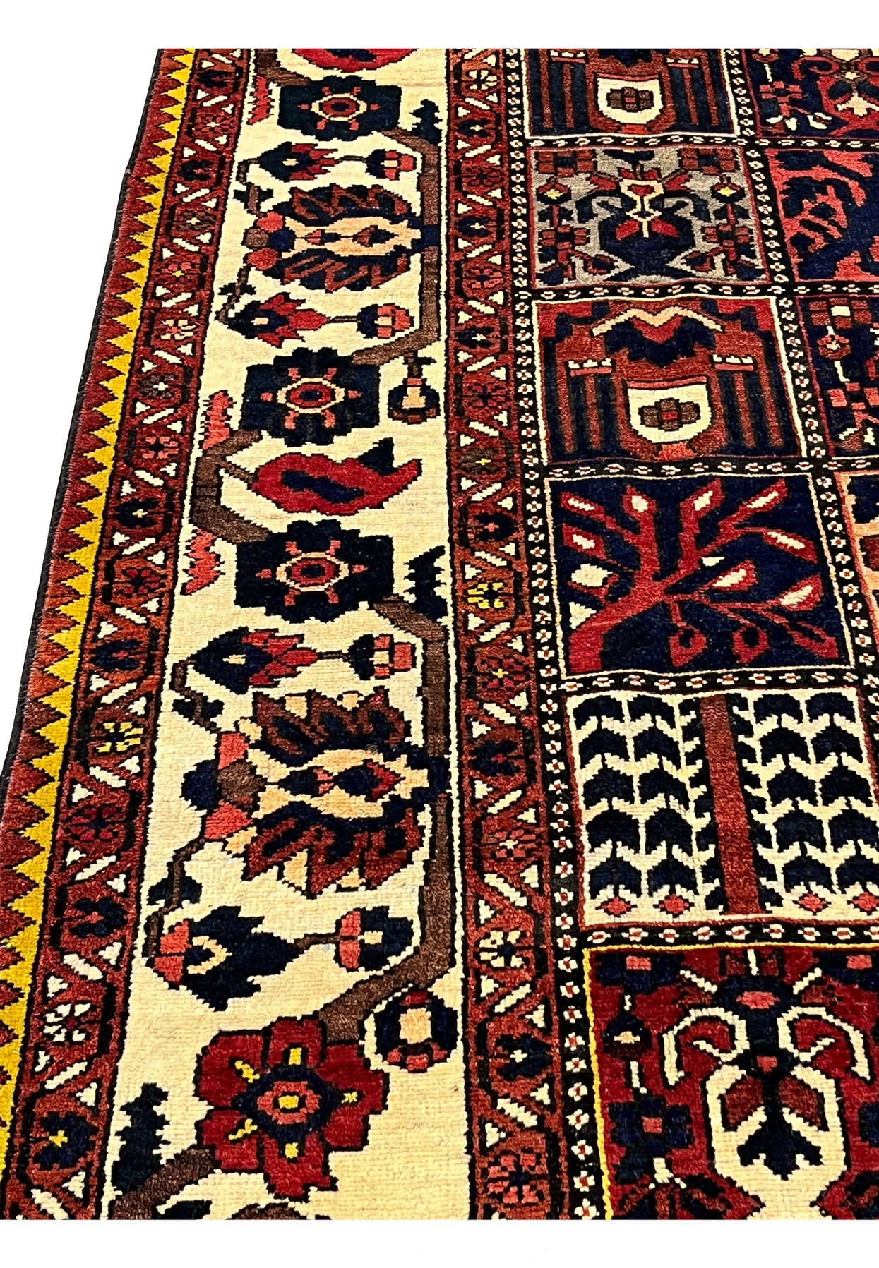 Close-up of Bakhtiar rug border highlighting wool texture and hand-knotted floral patterns
