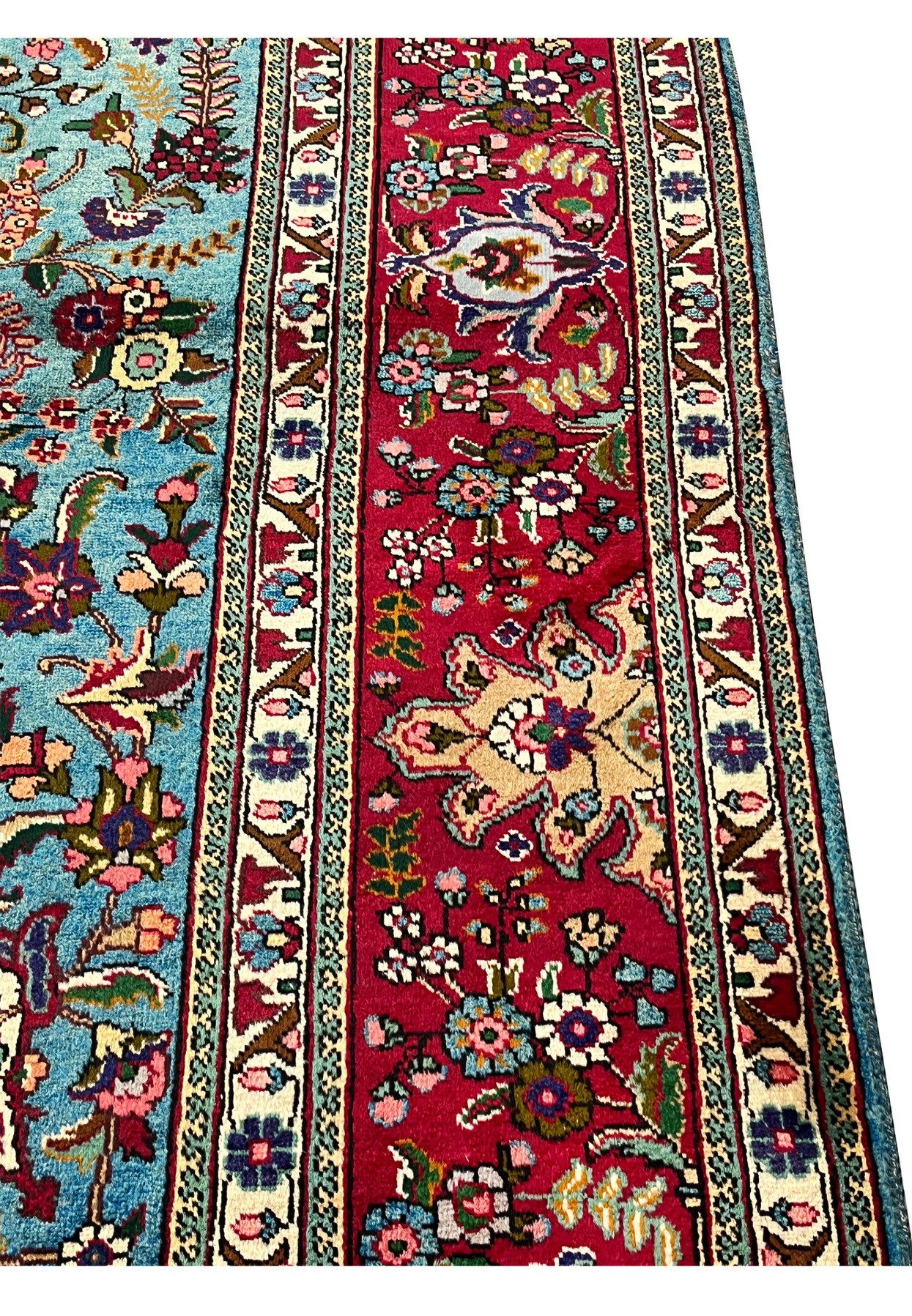 Border closeup of 10x13 Persian Tabriz rug, classical floral vine with rosettes and palmettes