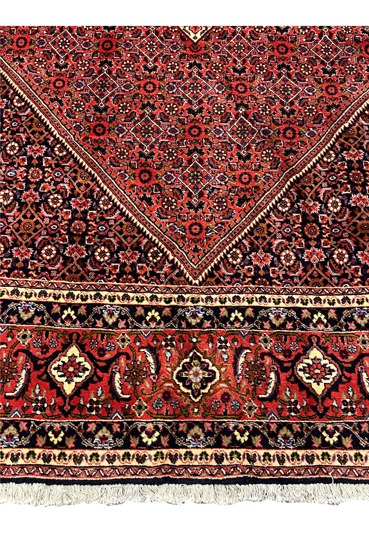 Navy floral border detail with rosettes and vine on 10x13 Persian Bijar iron rug