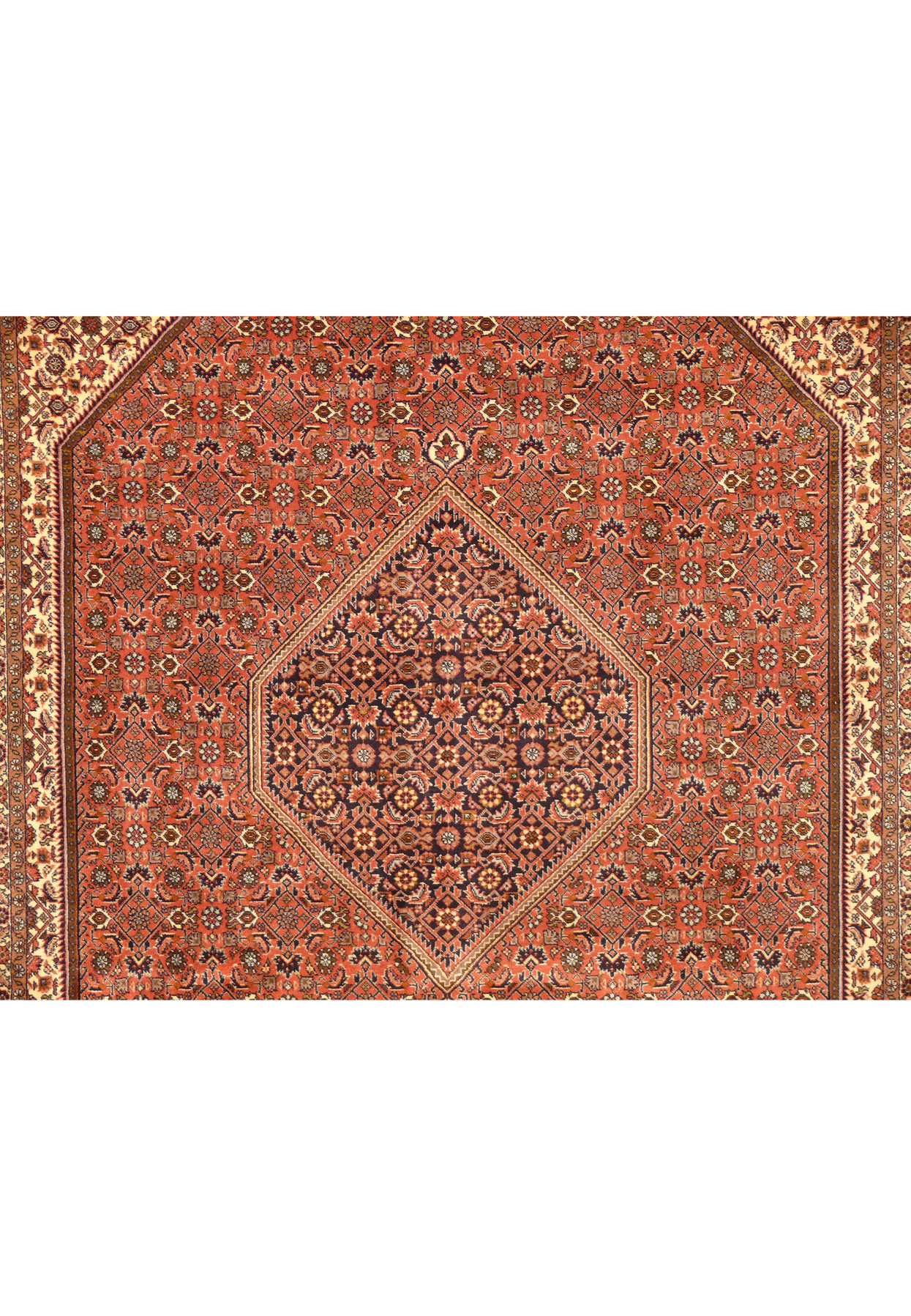 Navy diamond medallion closeup with Herati fish motifs on rust red Persian Bijar wool rug
