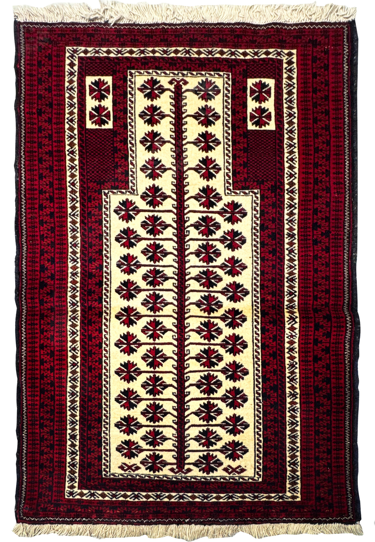 Authentic 3 x 4'4 Persian Baluch prayer rug full view with crimson borders and ivory mihrab field