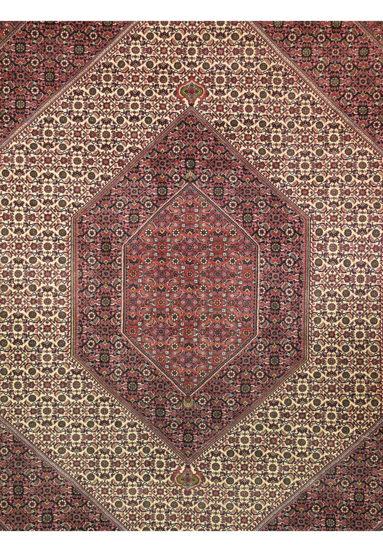 Stepped diamond medallion close-up of Persian Bijar Bukan rug with herati allover pattern in ivory and red