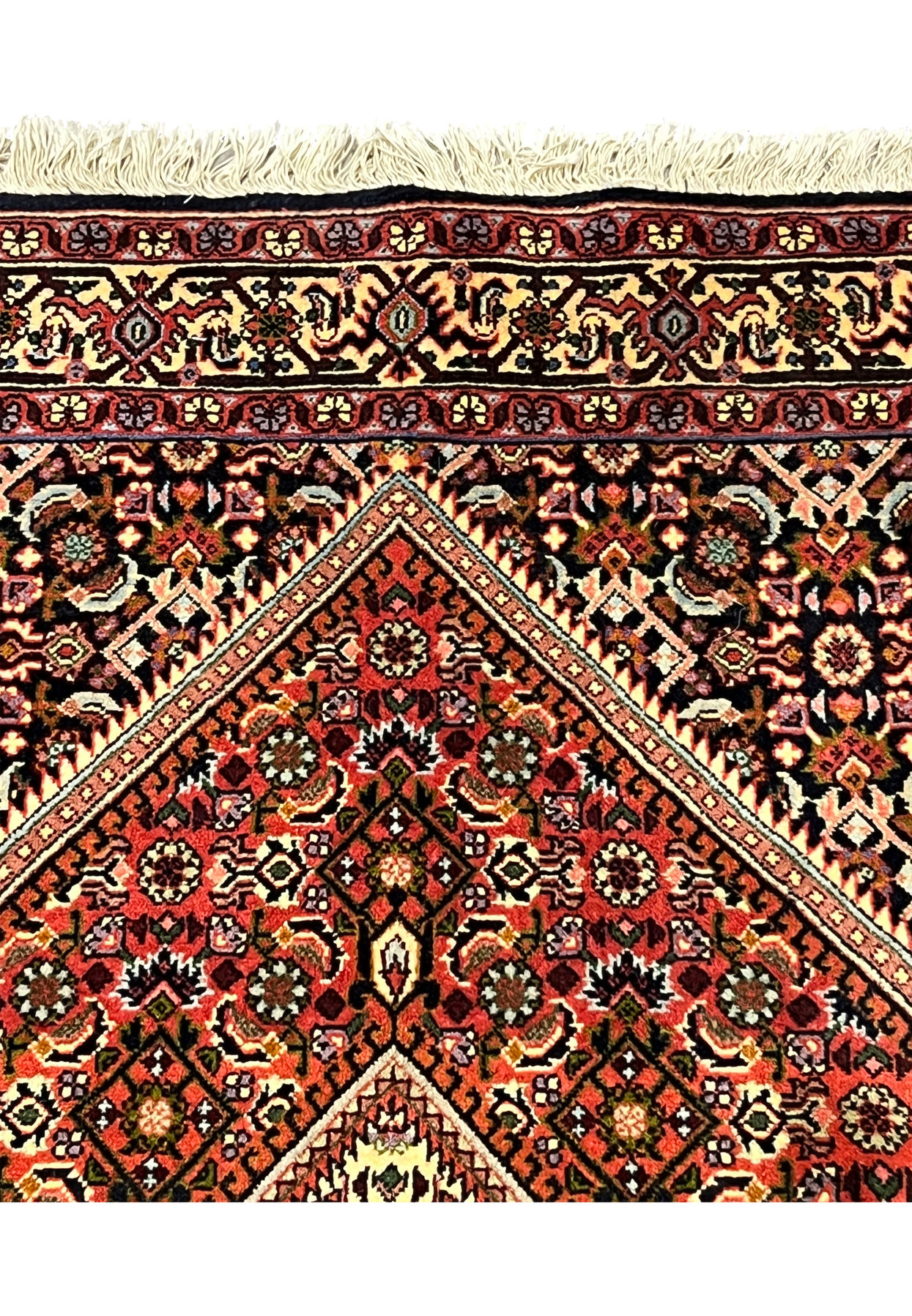 Upper section of the Bijar showing the navy outer field densely woven with Herati lattice motifs