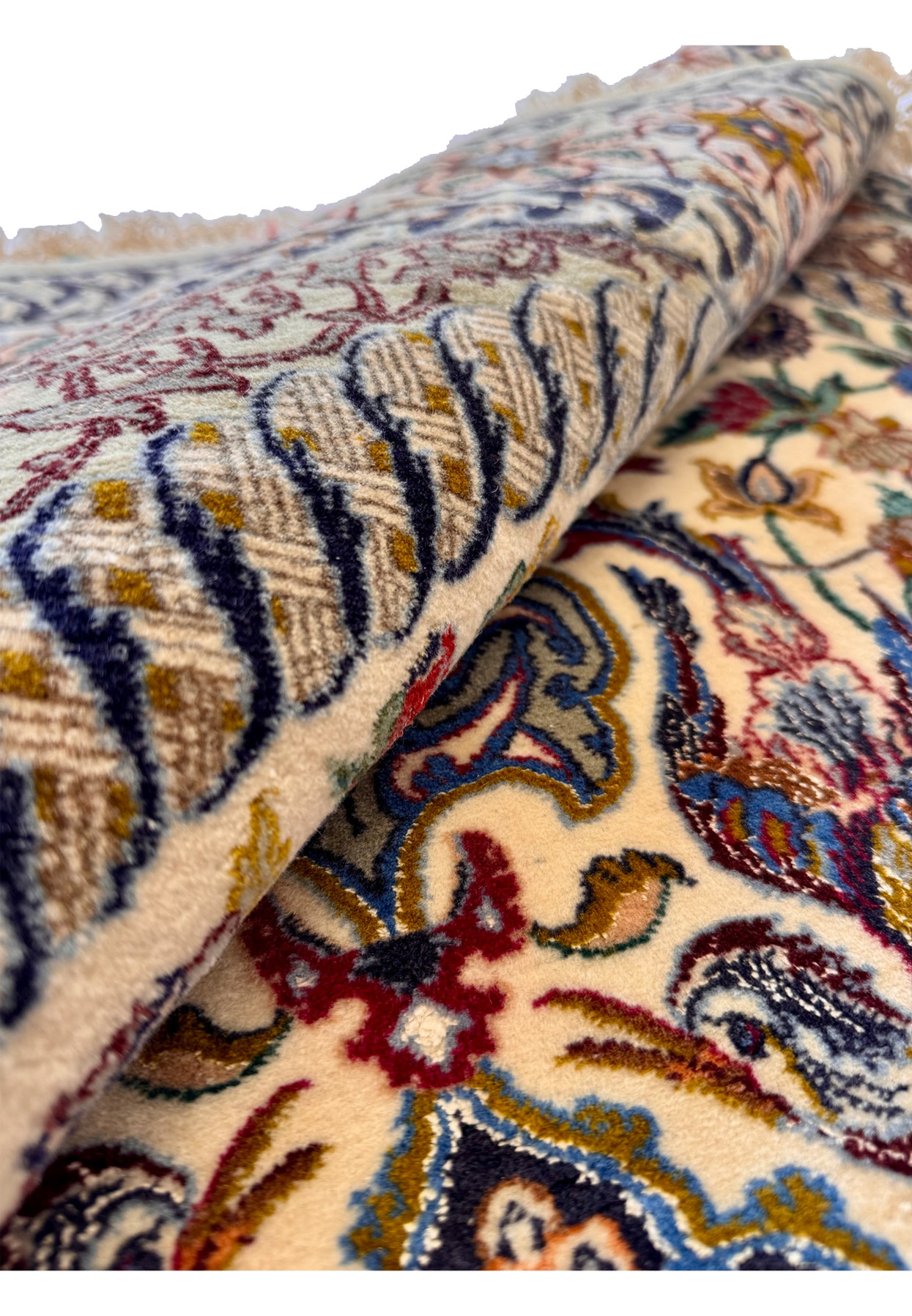 Rolled view of the Isfahan showing the fold drape, the silk highlights of the field, and the stepped depth of the navy and ivory borders