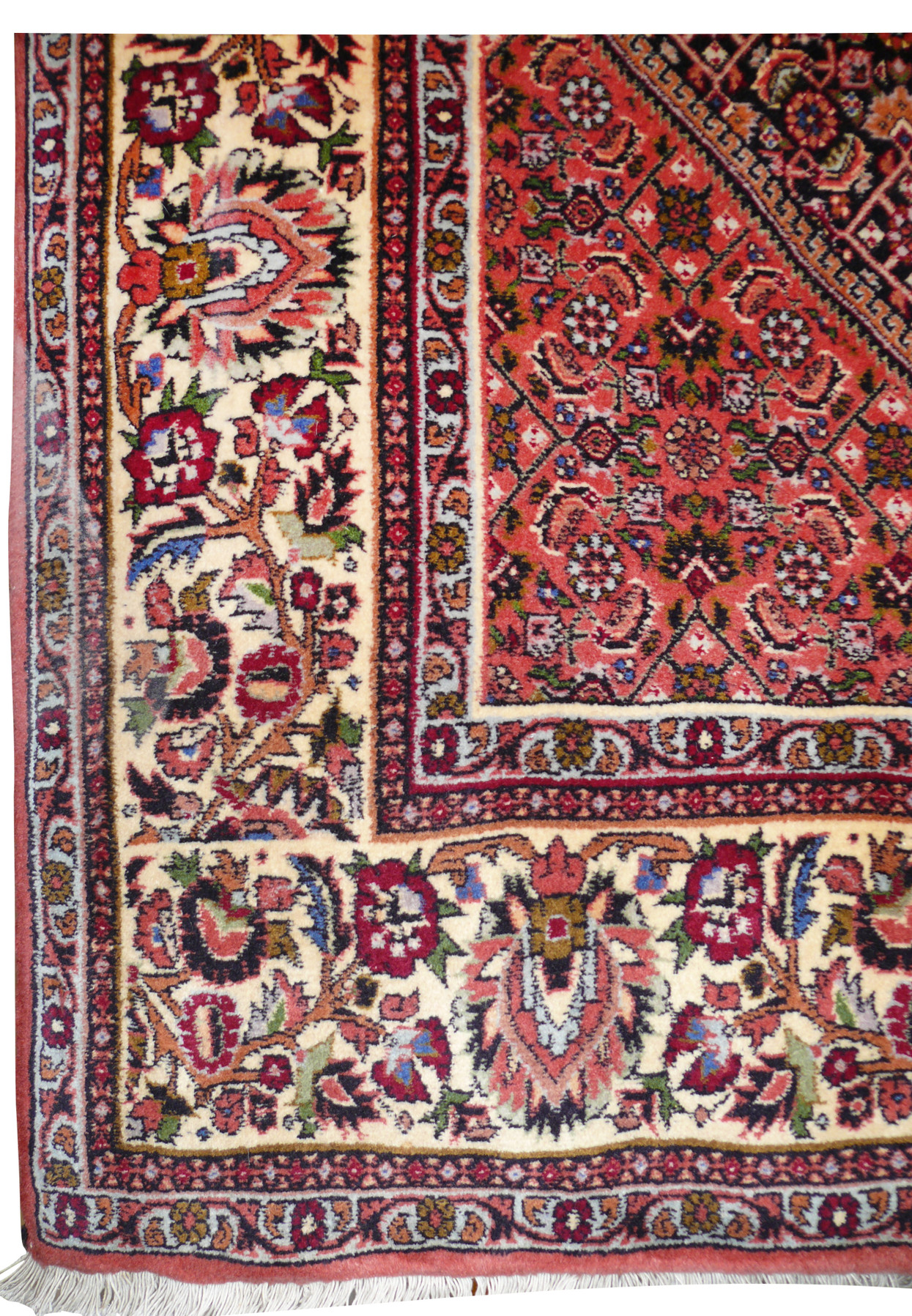 Corner detail of 7x10 Persian Bijar with ivory floral border, palmette procession, and sage green leaf accents