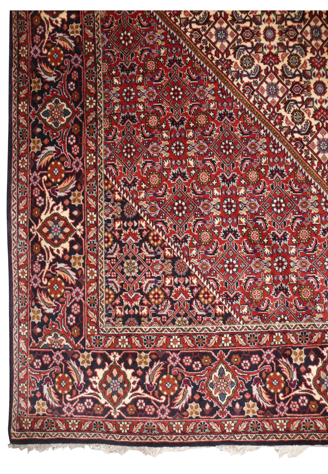 Corner detail of 7x10 Persian Bijar with brick red spandrel meeting navy palmette border and ivory guard stripes