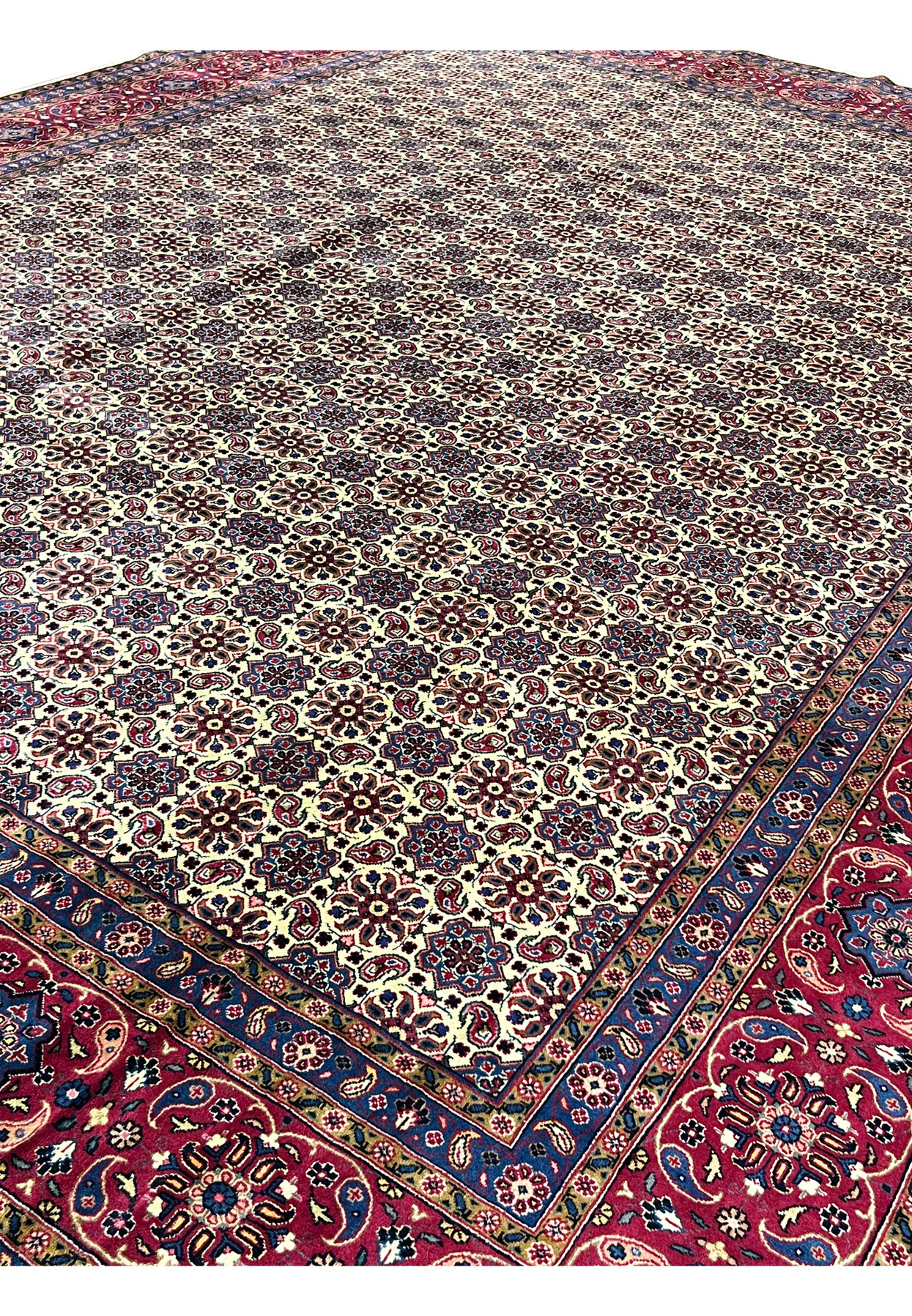 Angled corner view of authentic Persian Mashad, ivory Mahi field meeting deep red border, hand-knotted Kork wool