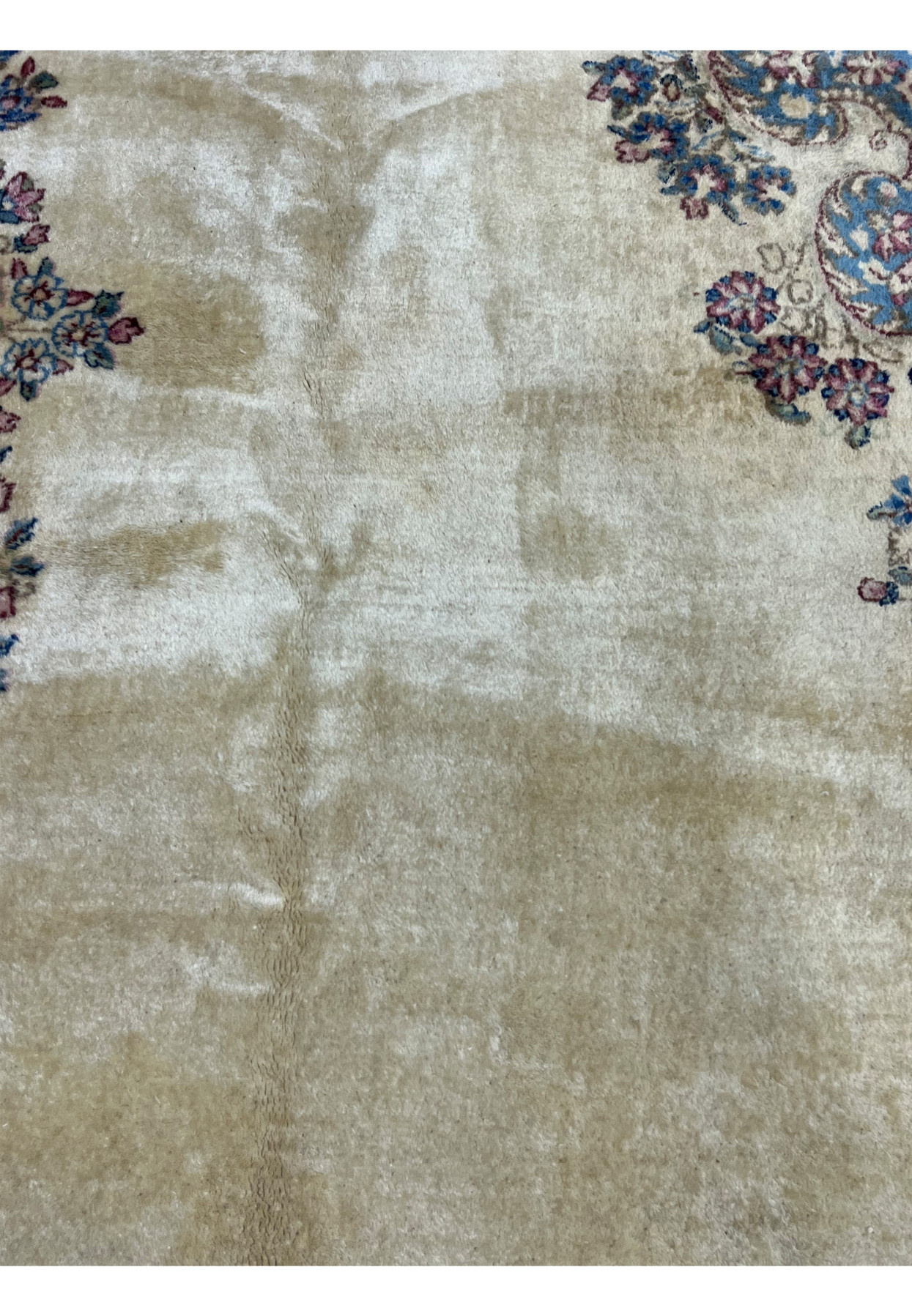 Ivory field of Persian Kerman rug, soft cream wool pile with floral cartouche detail at corner, for formal living room