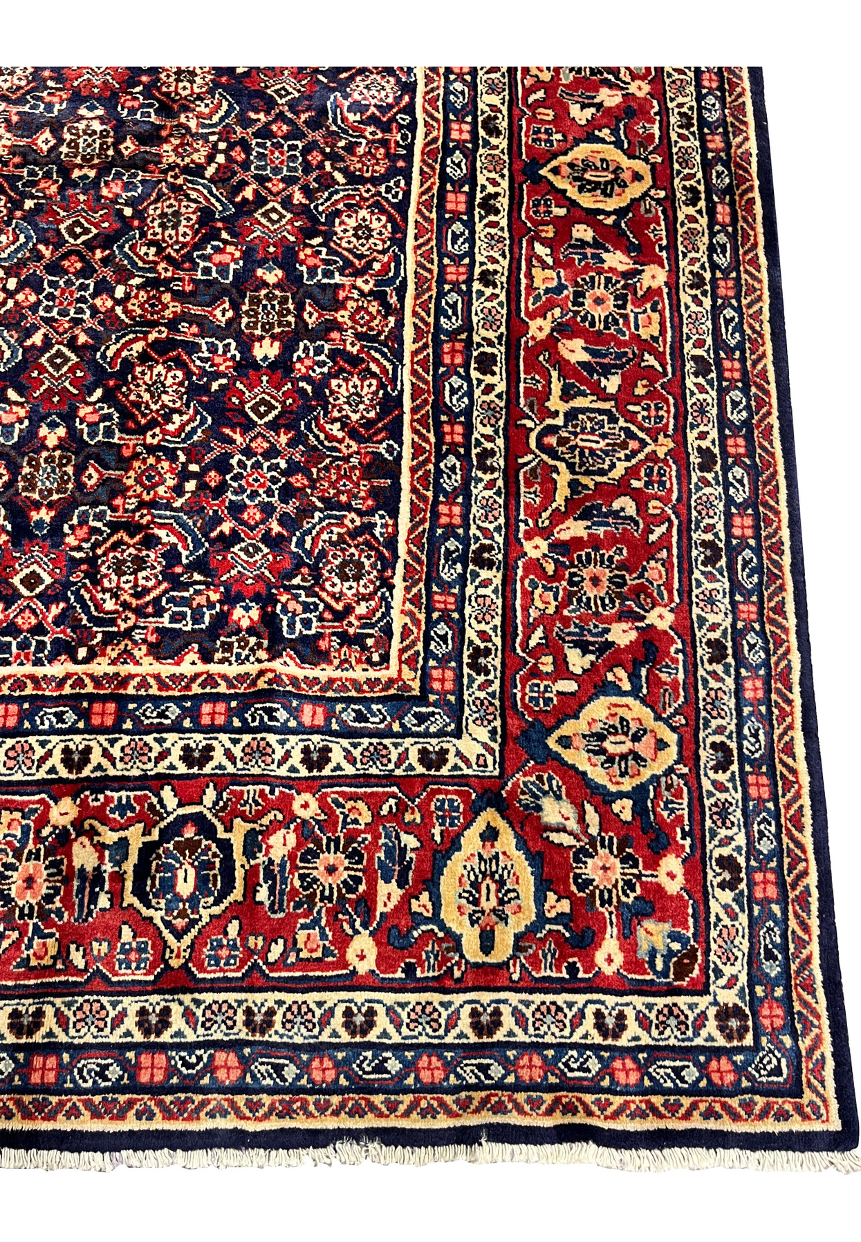 Border close-up of Persian Mahal rug, red ground with ivory and gold floral cartouches, classical Sultanabad workshop weaving