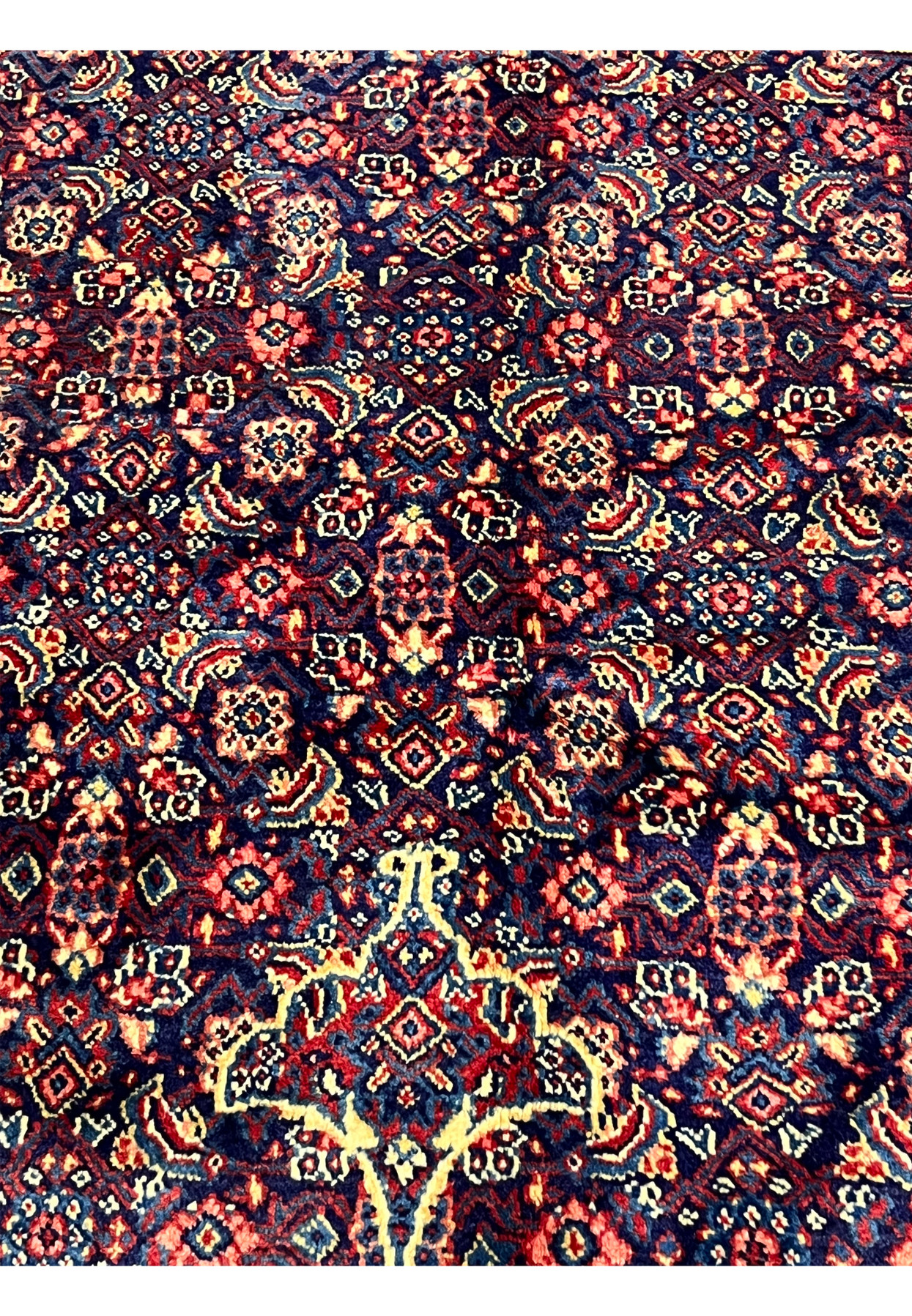 Color closeup Persian Sarough rug, salmon boteh and ivory florets on navy lattice, authentic vegetable dyed wool foundation
