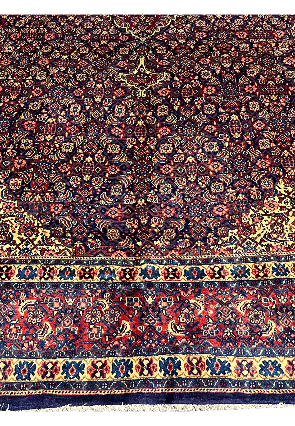 Lower part of Persian Sarough rug, red palmette and turtle border framing dense navy floral lattice, authentic Persian drawing
