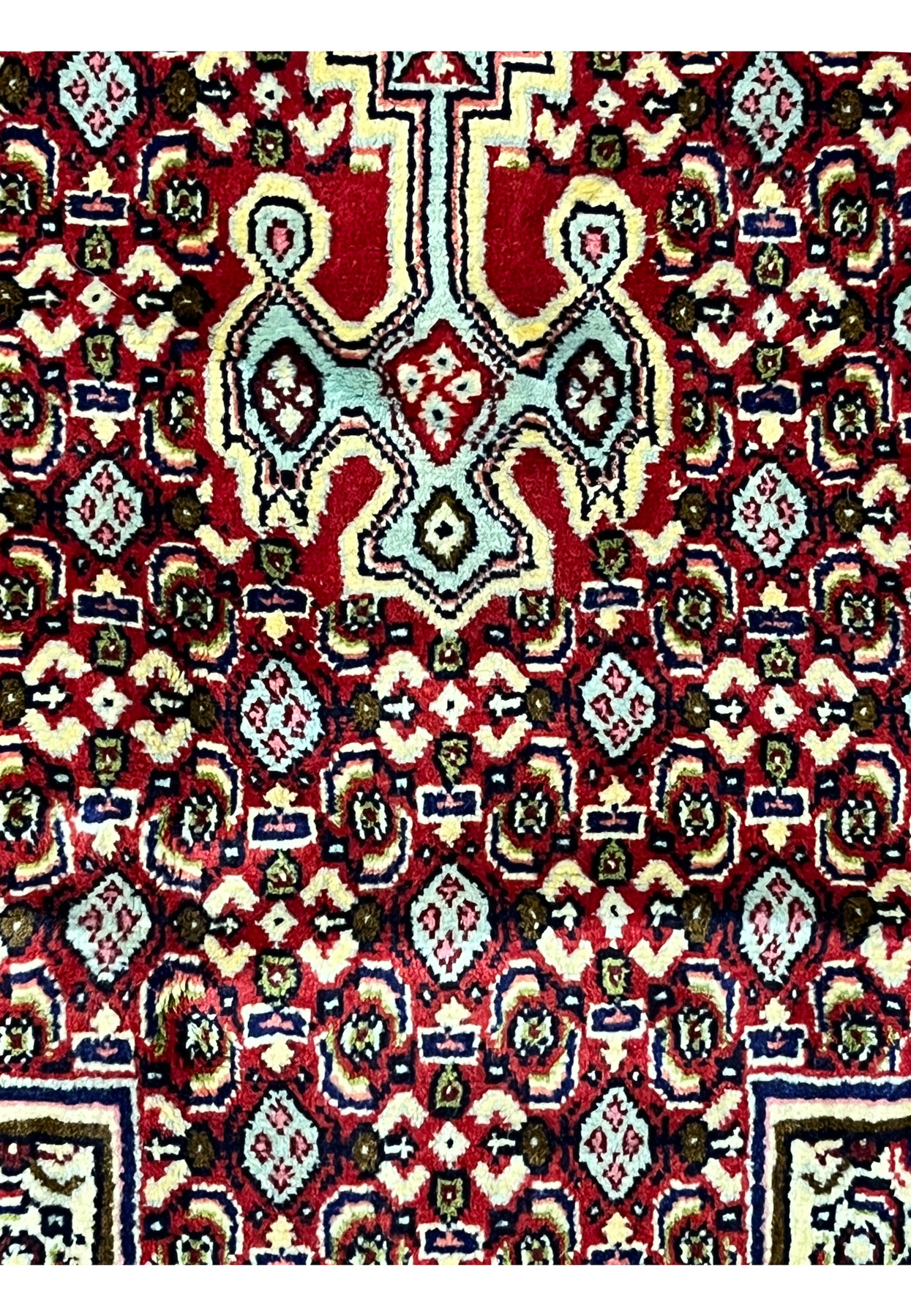 Pattern detail Persian Senneh rug, classic mahi herati repeat on pale celadon ground, fine Kurdish workshop drawing