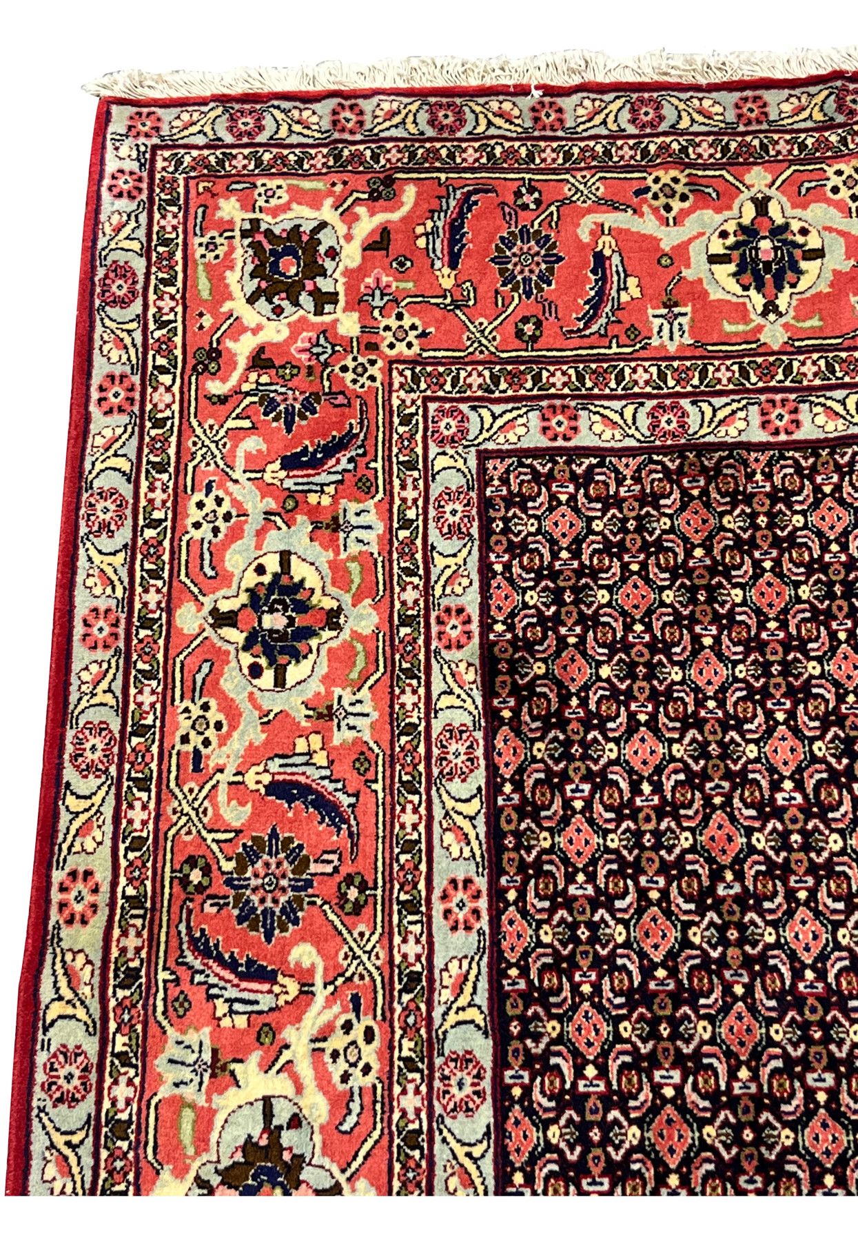 Main border Persian Senneh rug, salmon coral ground with palmettes and serrated leaves, classic Senneh workshop drawing