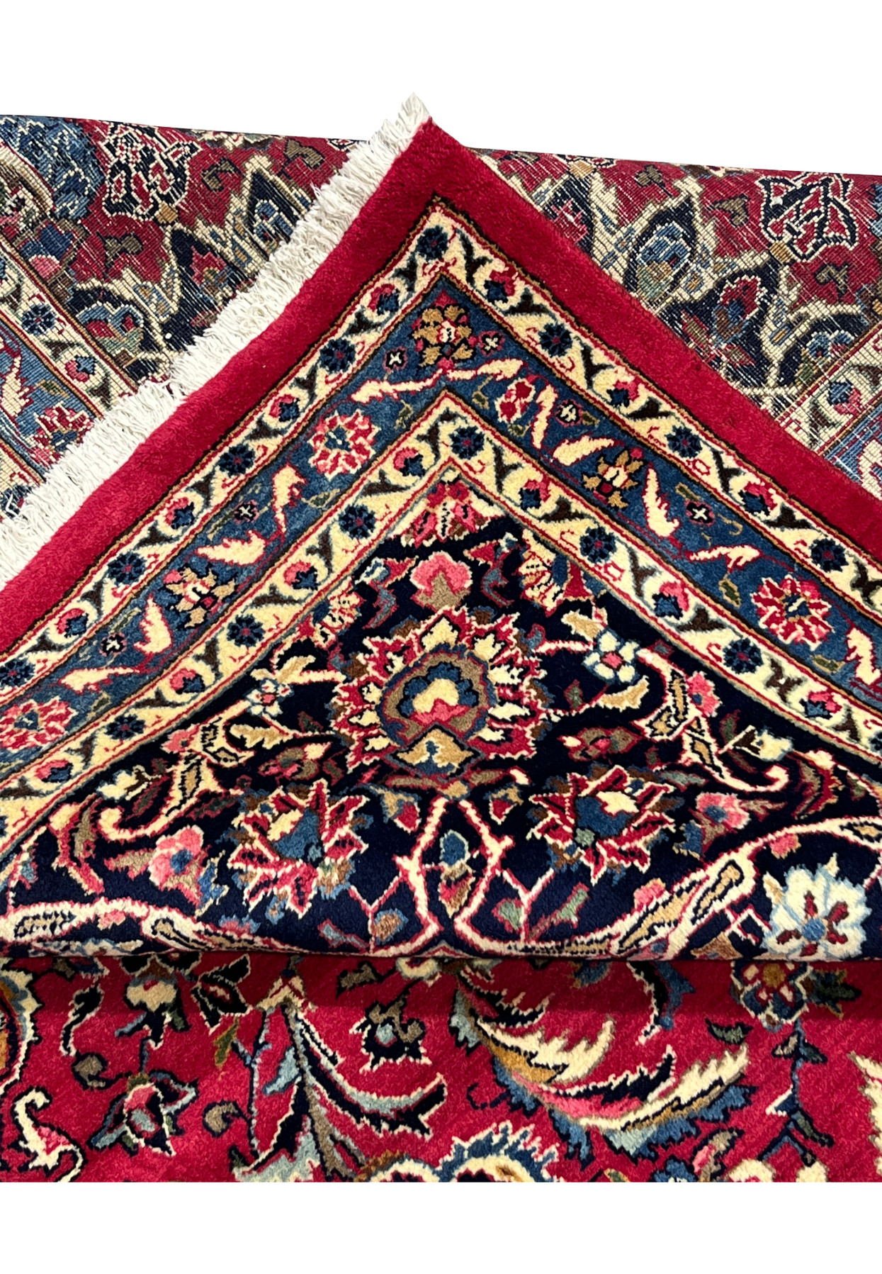 Folded edge of hand knotted Mashad rug, cherry red field and navy border showing full pile and cream fringe