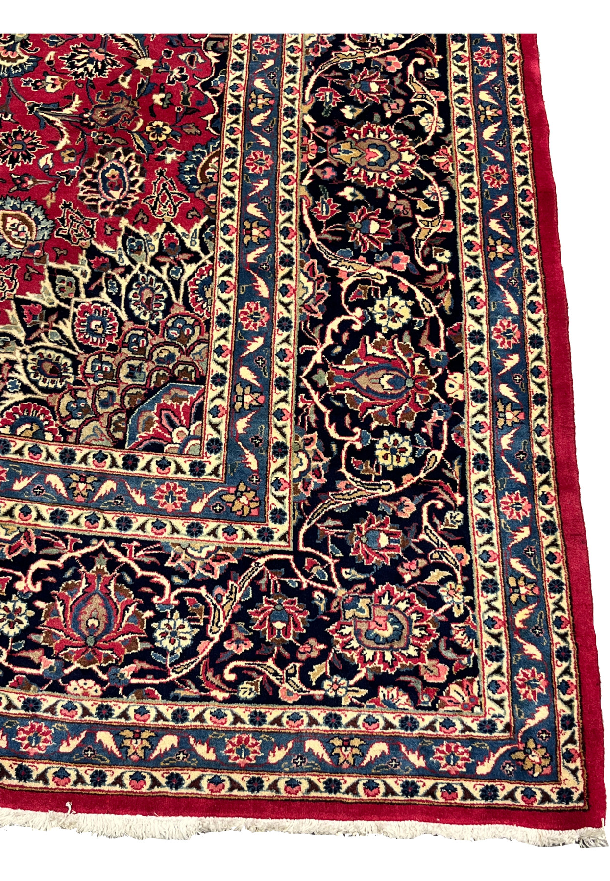 Border detail of vintage Mashad rug, deep navy ground with palmette and vine procession in rose and ivory