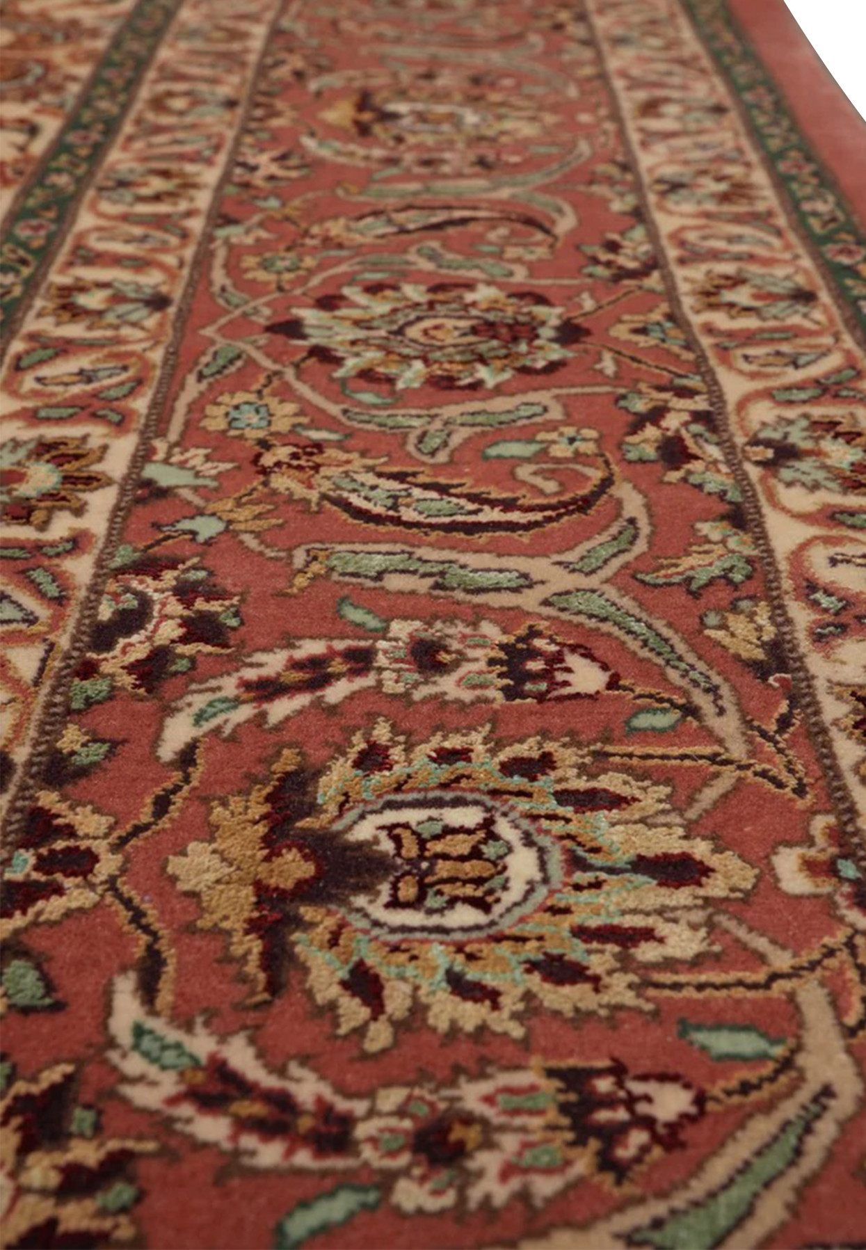 Border closeup of Persian Isfahan rug, terracotta ground with palmettes and leafy scrolls