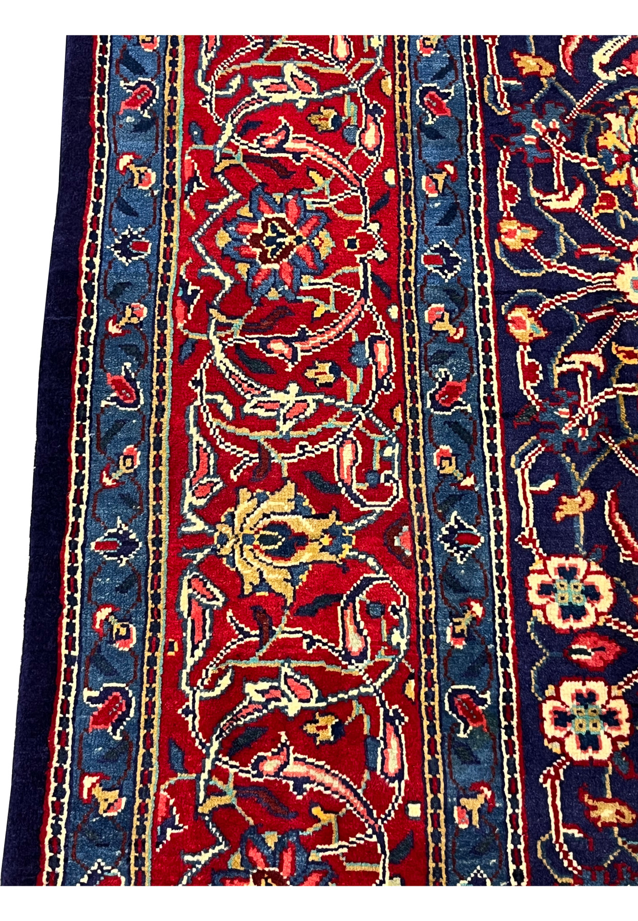 Red main border close-up with curved vines, paired palmettes, and gold detail, authentic Mahal