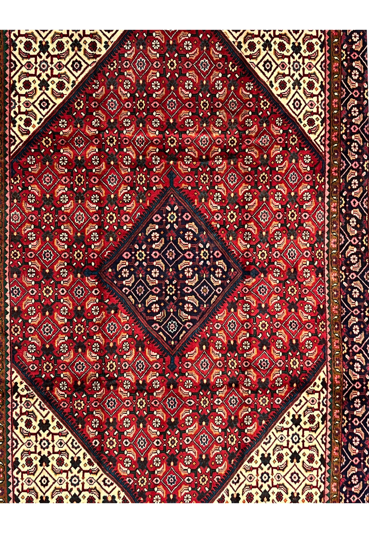 Central navy diamond medallion framed by an all-over Herati field of rosettes on deep red wool