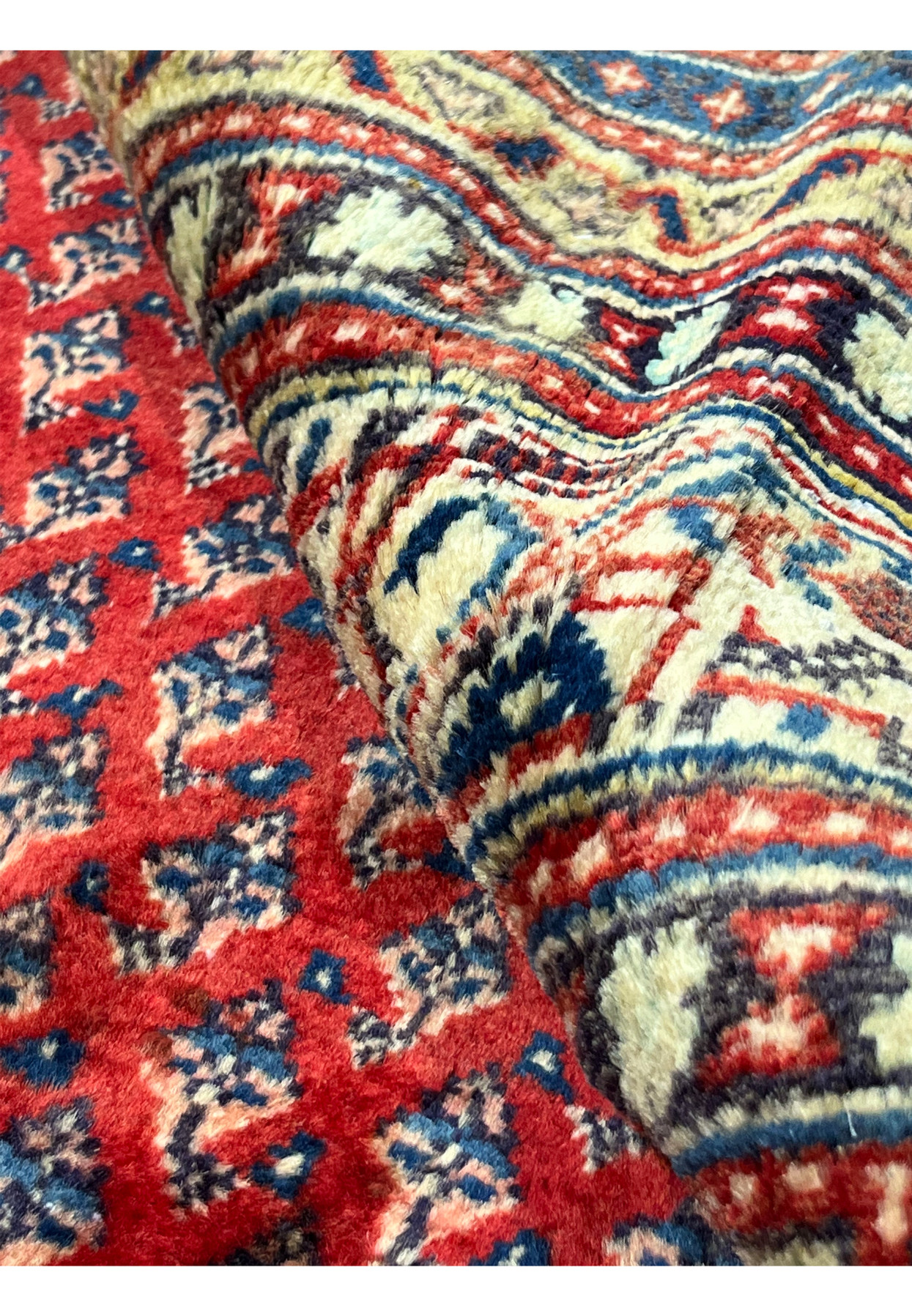 Rolled view of the wool Sarough Mir revealing border layers and dense even pile