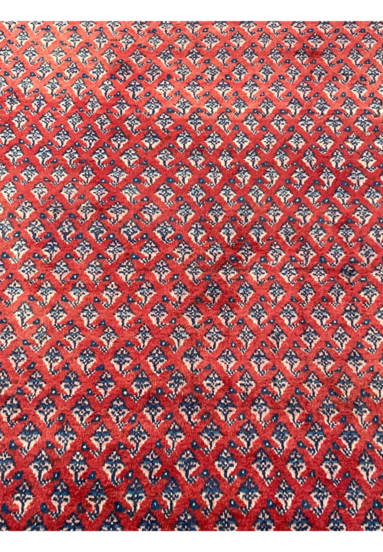 Closeup of the red field allover boteh in navy ivory and powder blue forming a fine lattice