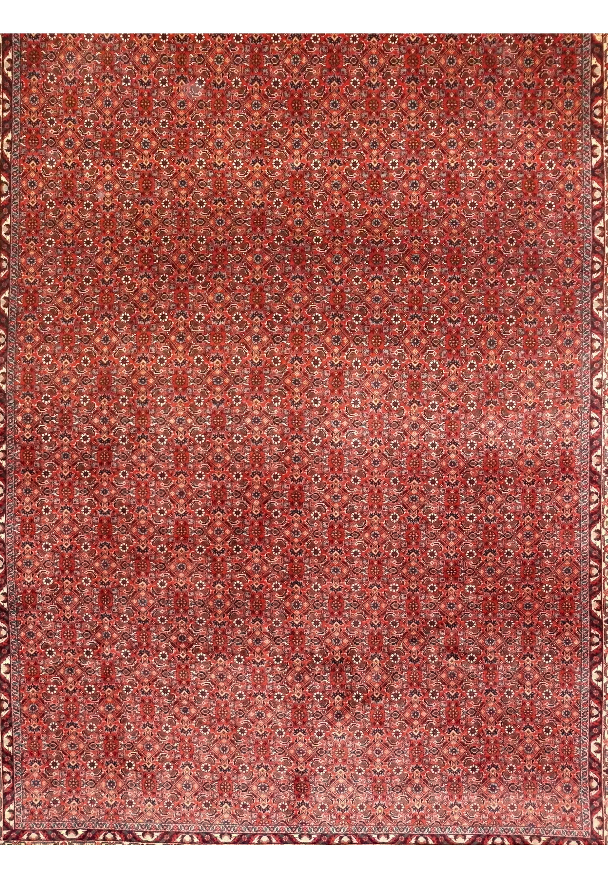Repeating Herati lattice of diamonds and rosettes across a deep red Bijar field, finely hand-knotted