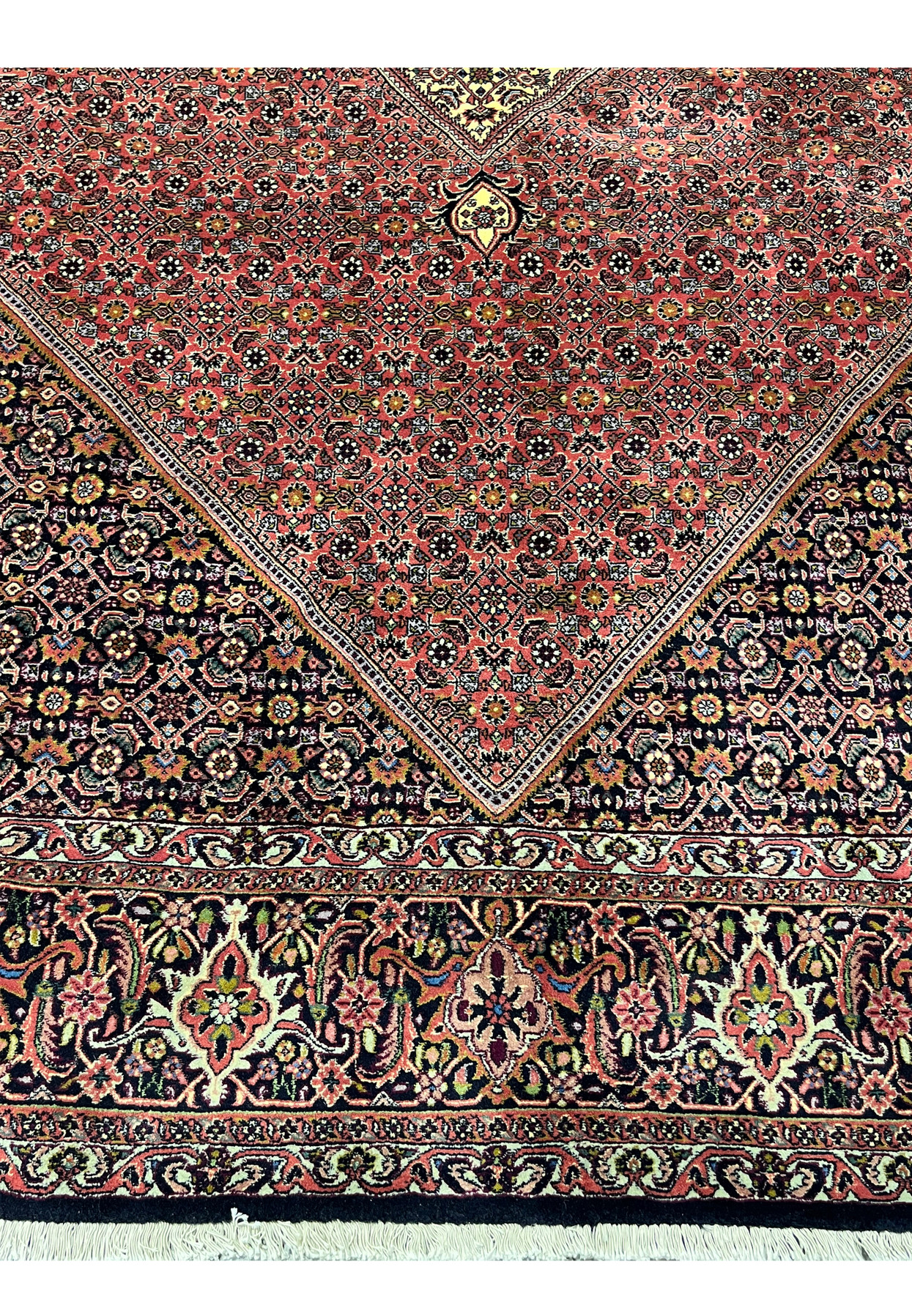 Lower border and field of the Bijar showing rose red Herati lattice and a navy turtle border.