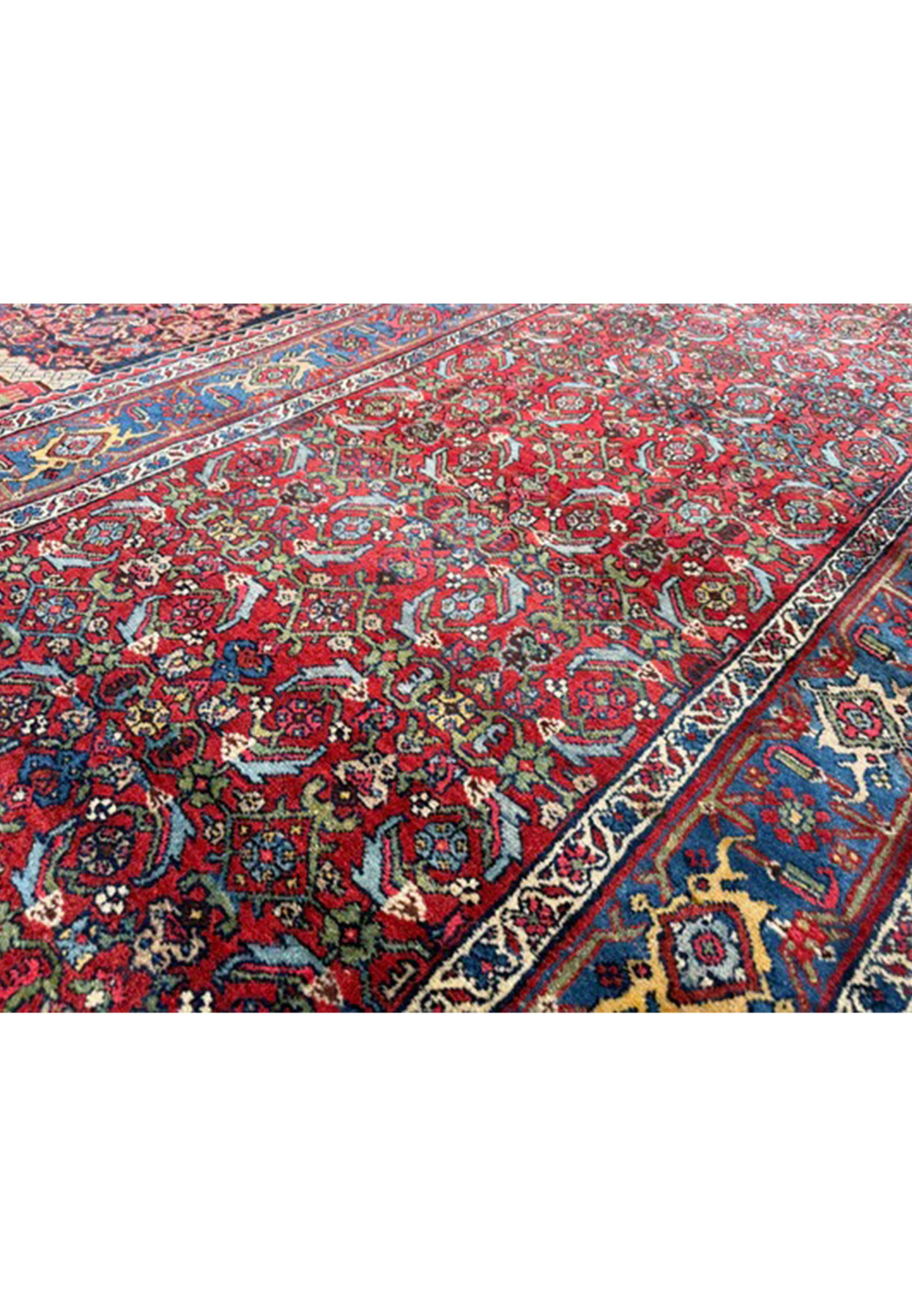 13x20 Bijar red field filled with repeating Herati lattice beside a blue floral border