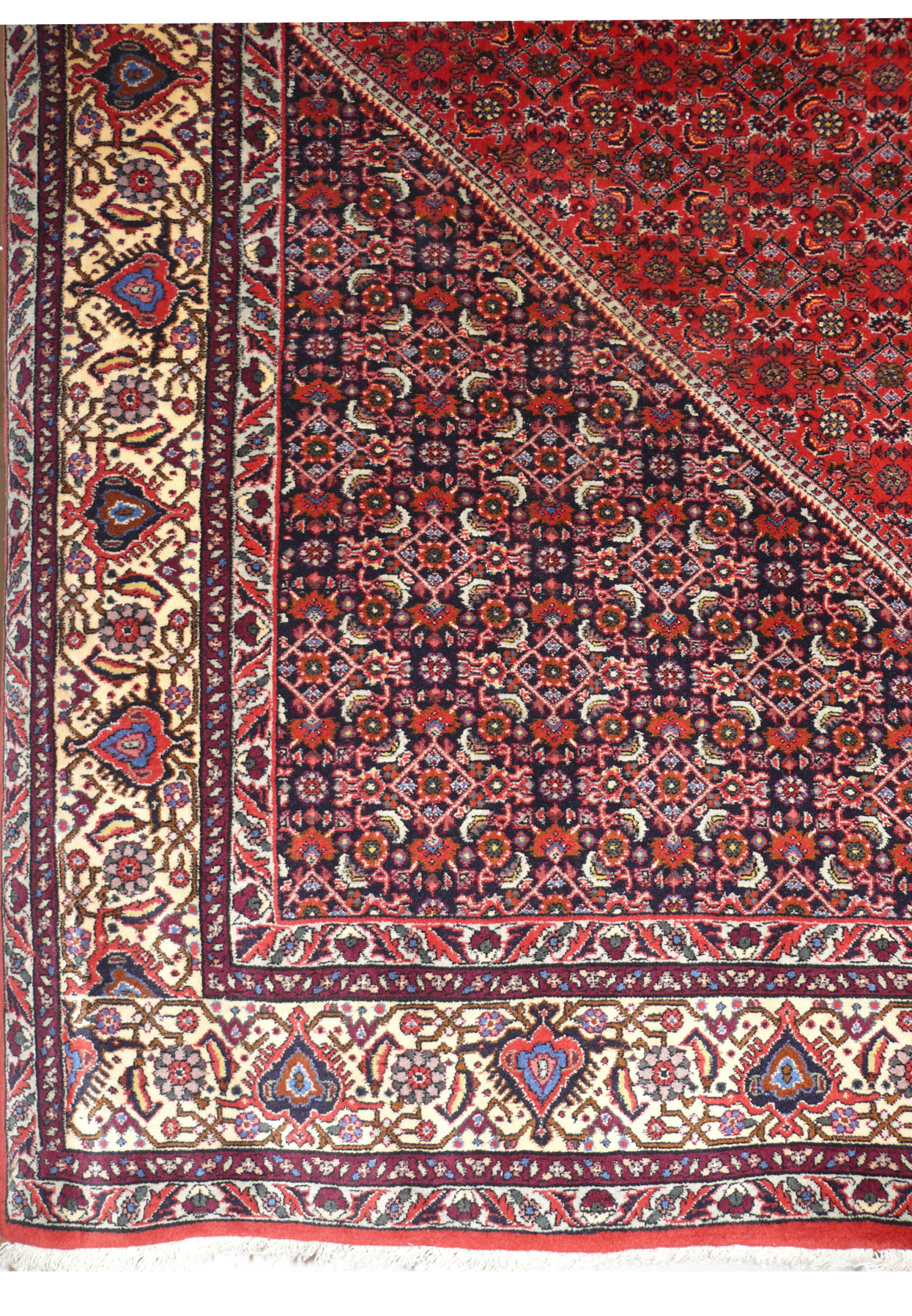 Cream border corner with palmettes and heart motifs framing dense navy Herati field