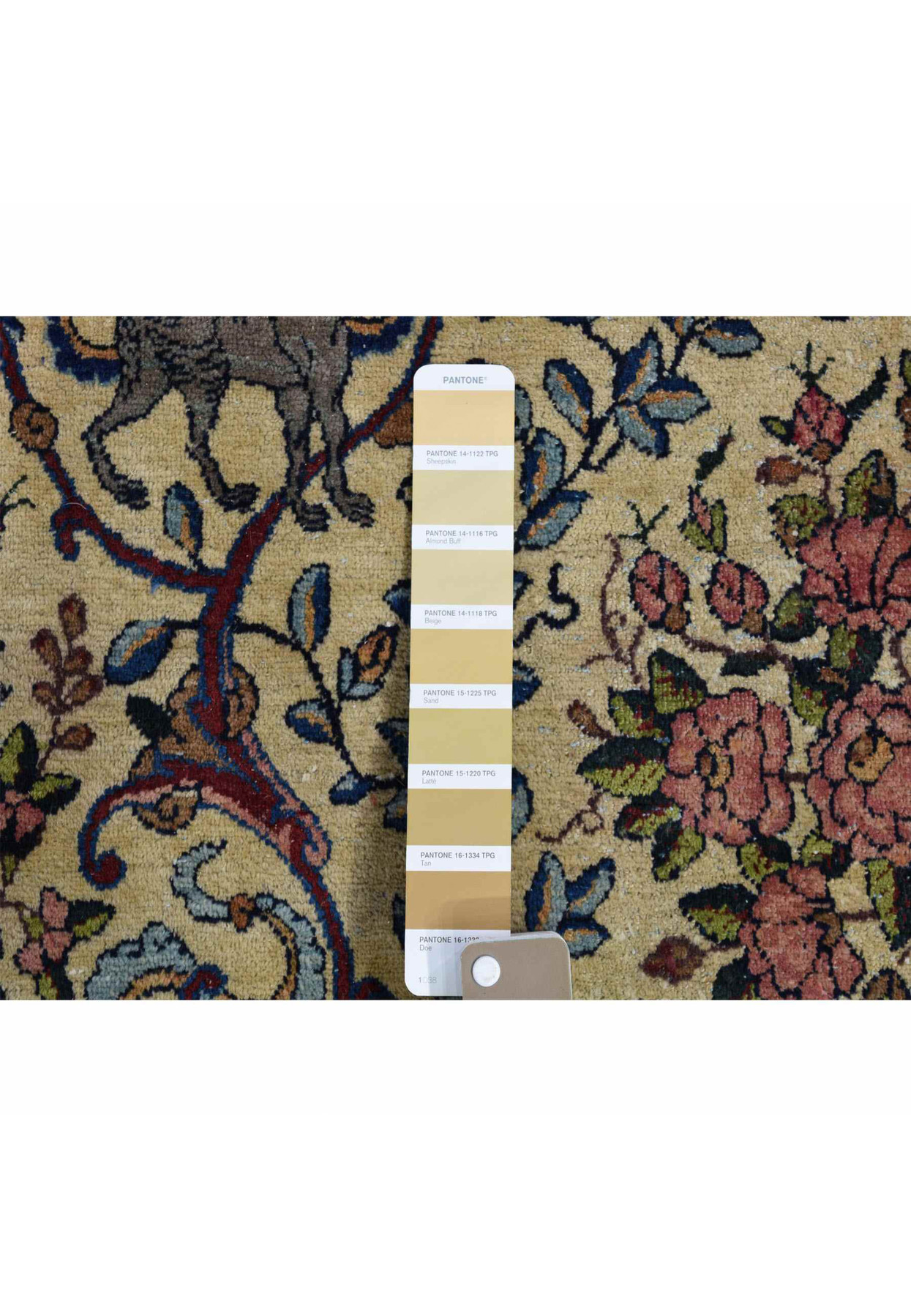Pantone match closeup of warm alabaster field with pink roses and blue leafy branches