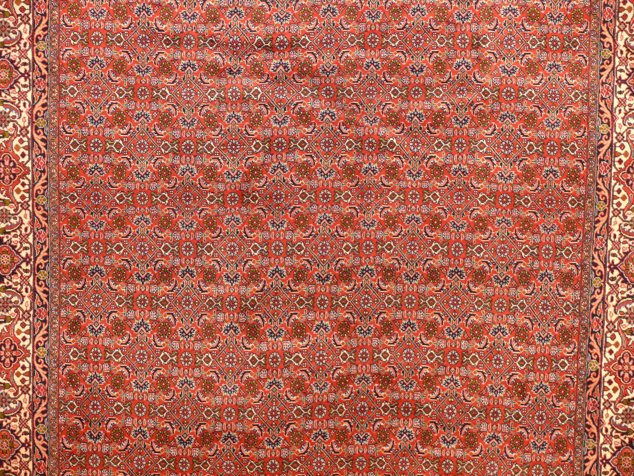 6'7" x 9'8" Persian Bijar Rug All Over Design