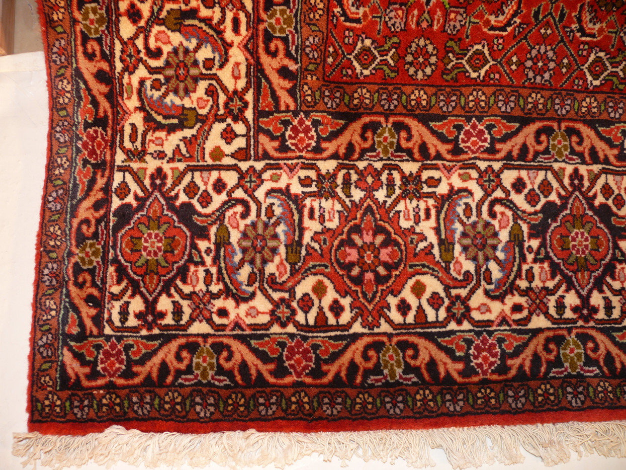 6'7" x 9'8" Persian Bijar Rug All Over Design