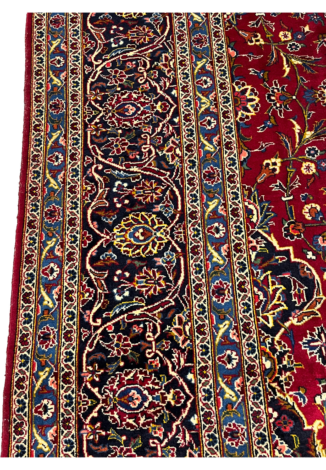 Border close up showing crisp floral drawing and gold outlining on soft Kashan wool