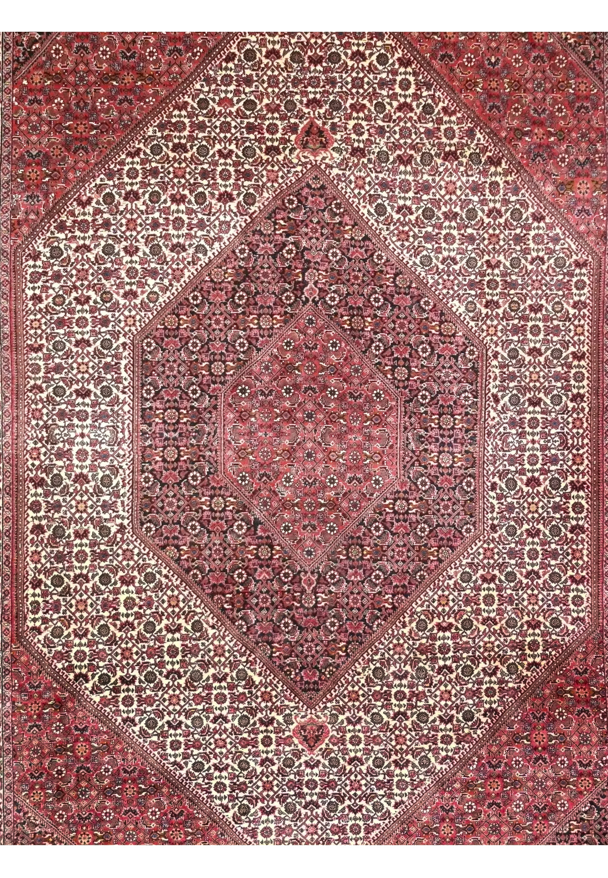 Close-up of the ivory diamond medallion with navy core over the red herati field of the Bijar rug