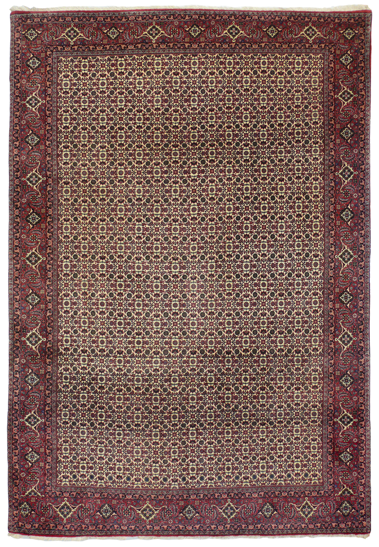 6'8 x 9'10 Persian Bijar rug, all-over herati fish pattern on an ivory field with red floral border
