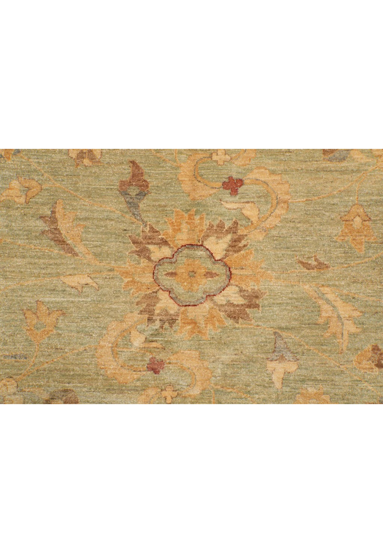 Detailed all-over floral pattern of palmettes and rosettes in gold and tan on the green Chobi field