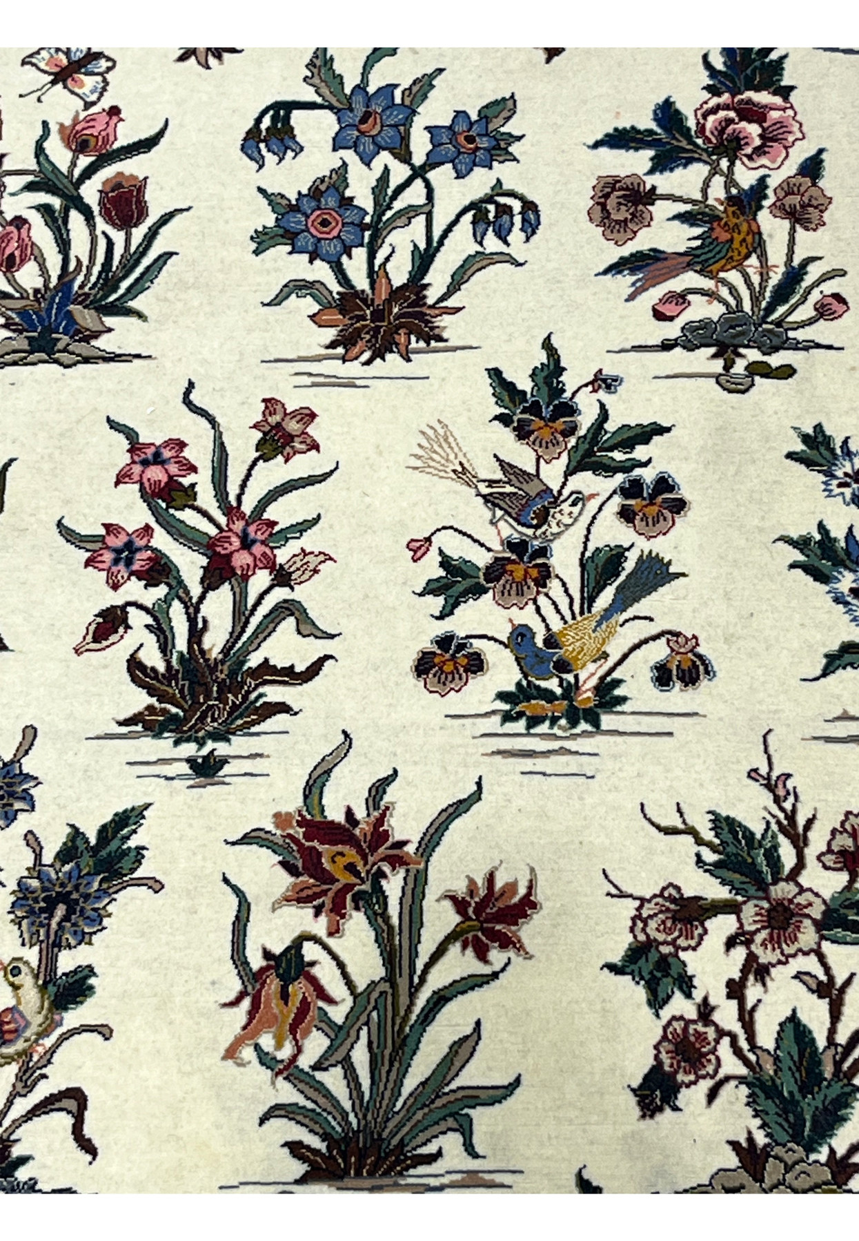 Close-up of individually drawn flowering plants, each with its own blossom and root