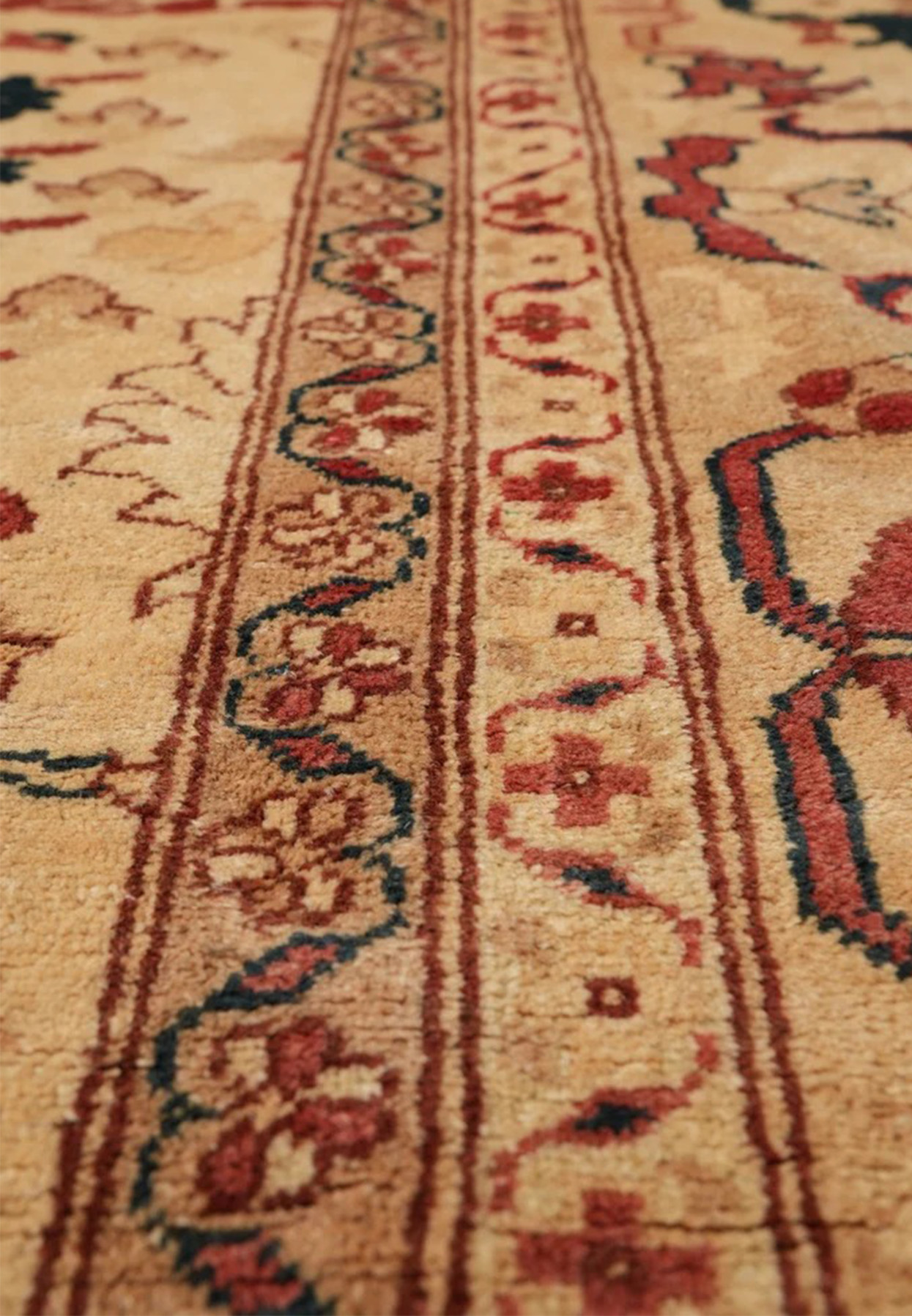 12x17'6" Peshawar rug border detail with multi-line frame and floral vine in rust, navy