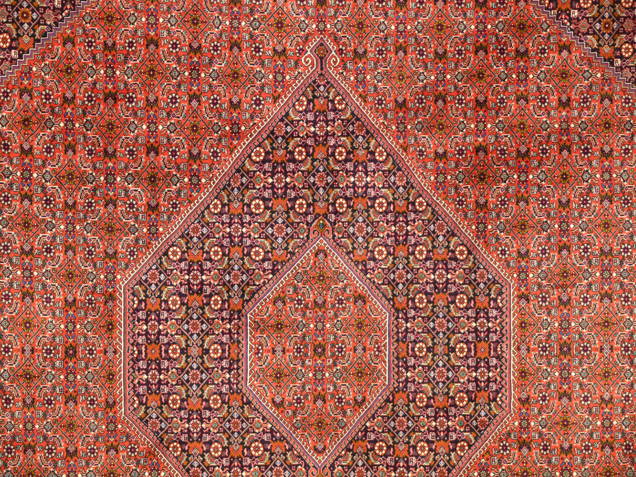 8'3 x 11'8 Persian Bijar High-End Rug