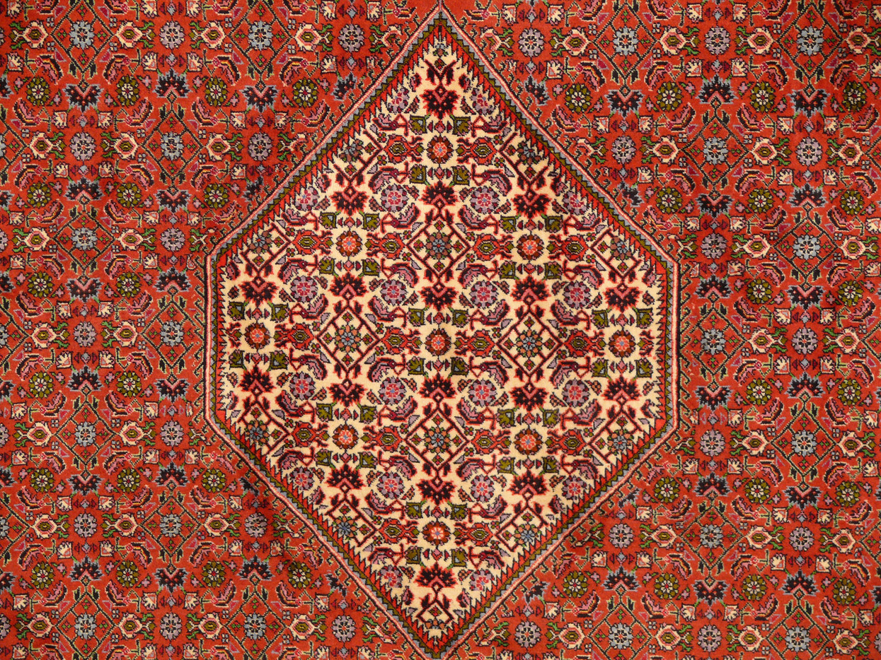 8'2 x 11'4 Persian Bijar Rug | High End | A Rug for a Lifetime