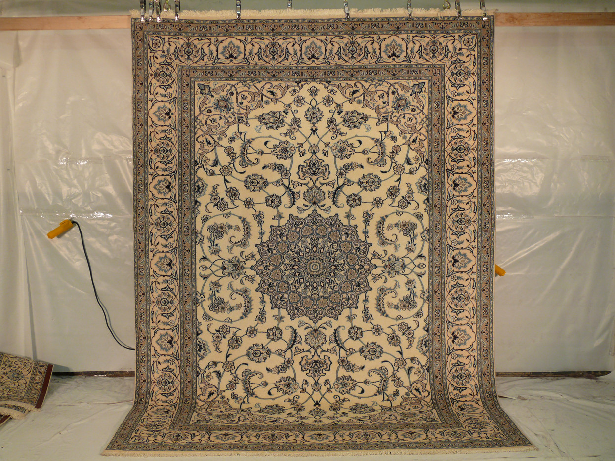 8'1" x 11'3" Persian Nain shown full length, ivory ground with camel palmette border