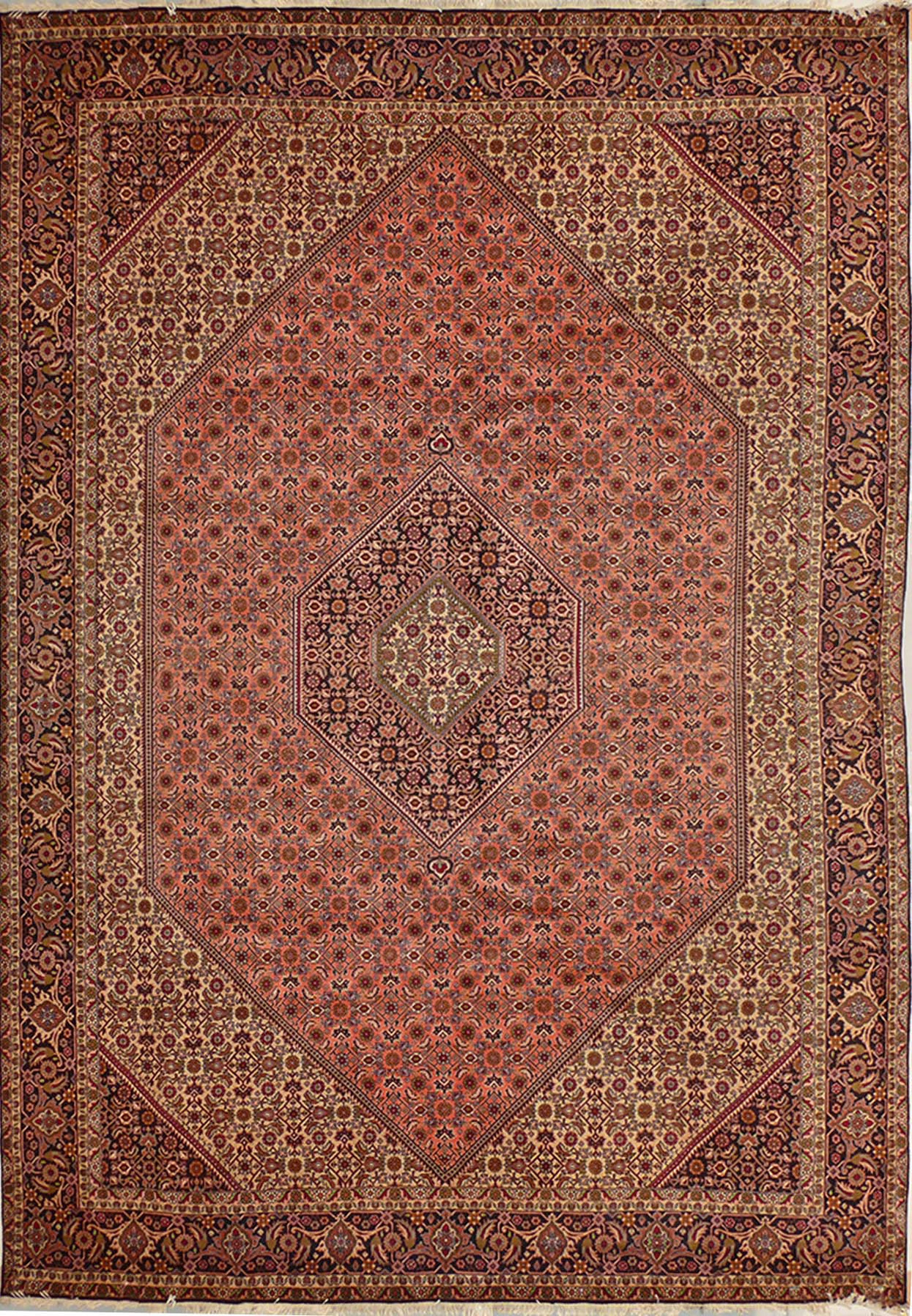 8'3" x 11'6" Persian Bijar Rug