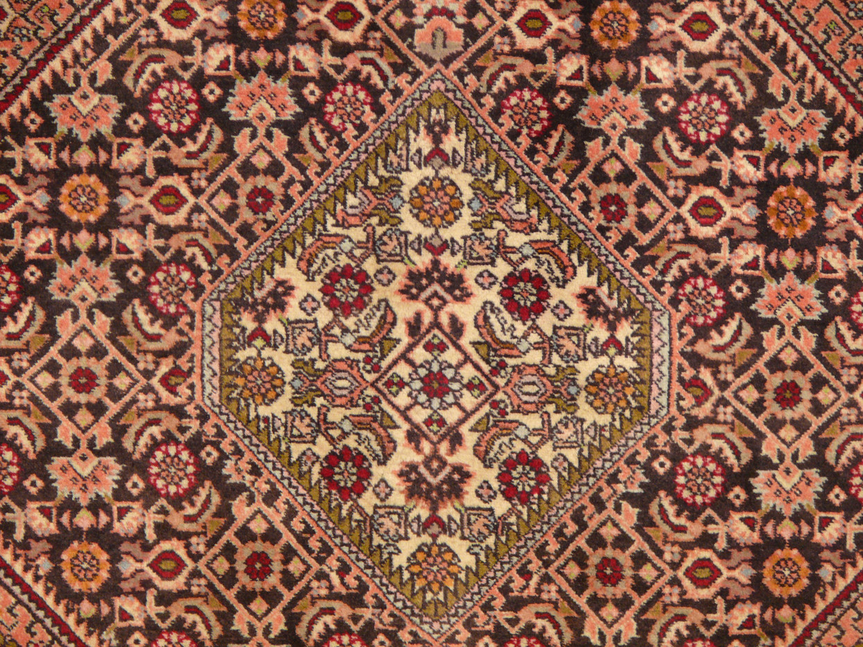 8'3" x 11'6" Persian Bijar Rug