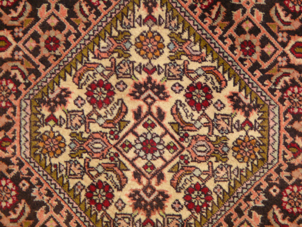 8'3" x 11'6" Persian Bijar Rug