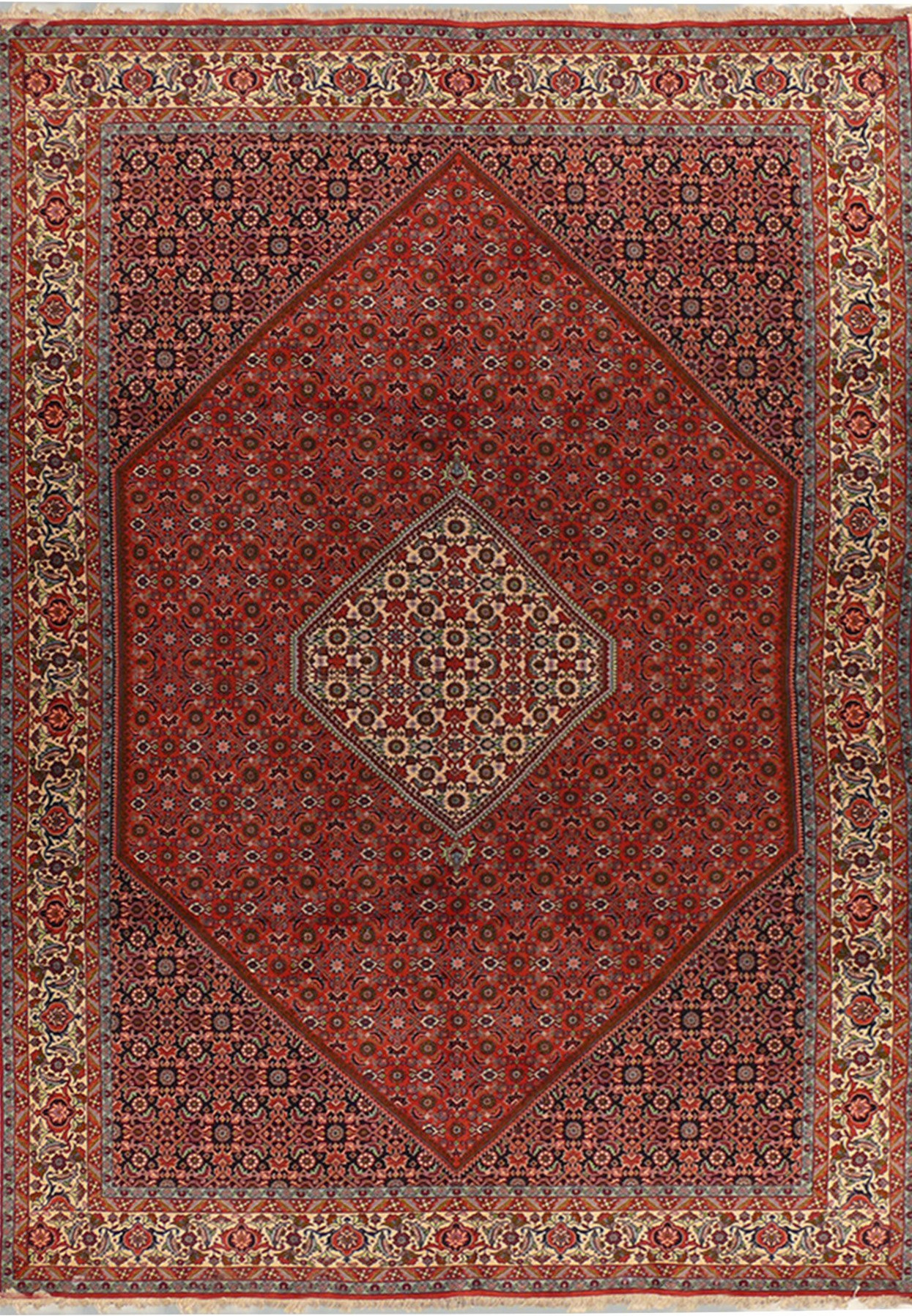 6'6 x 10 Persian Bijar Rug
